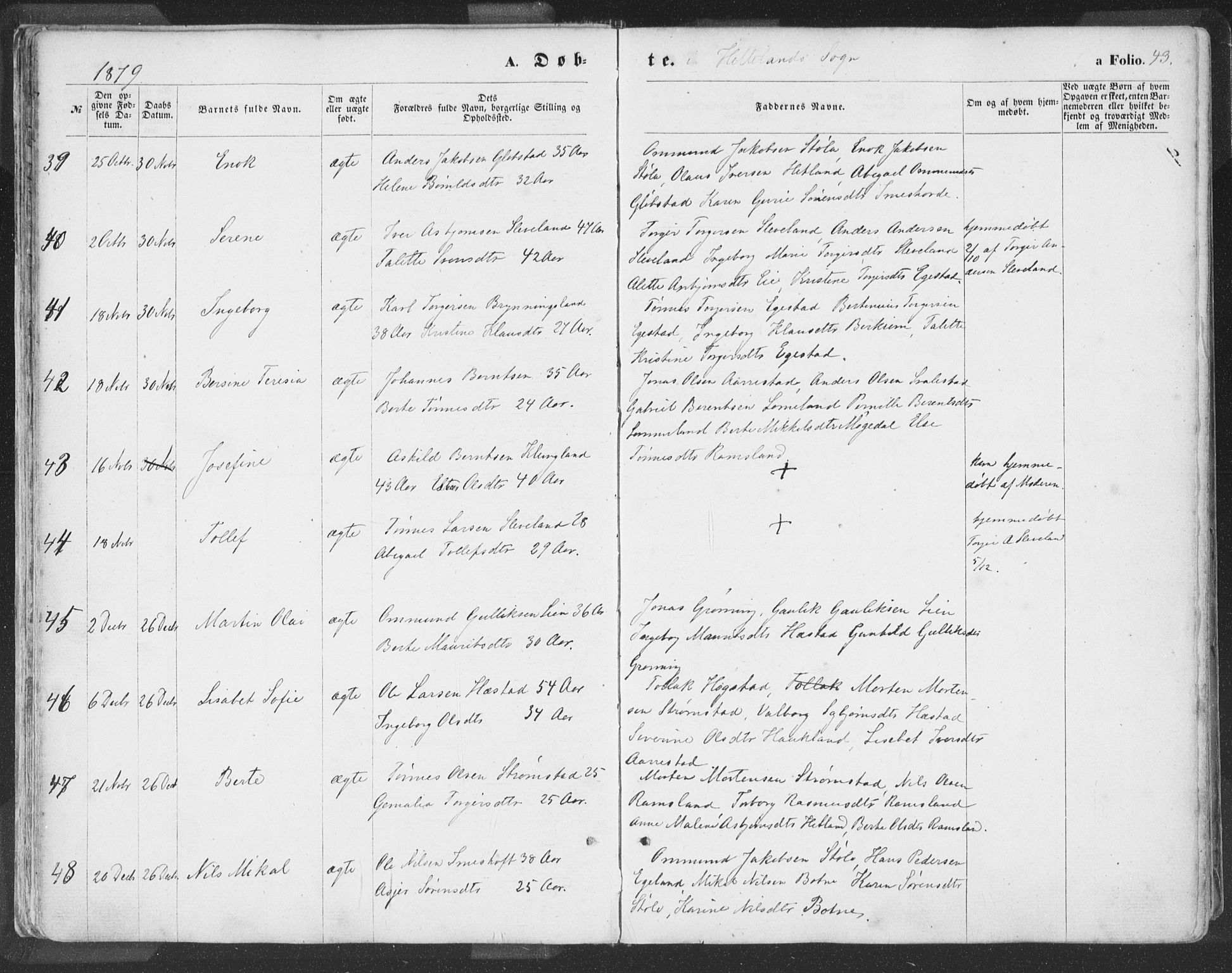 Helleland sokneprestkontor, SAST/A-101810: Ministerialbok nr. A 7.1, 1863-1886, s. 43