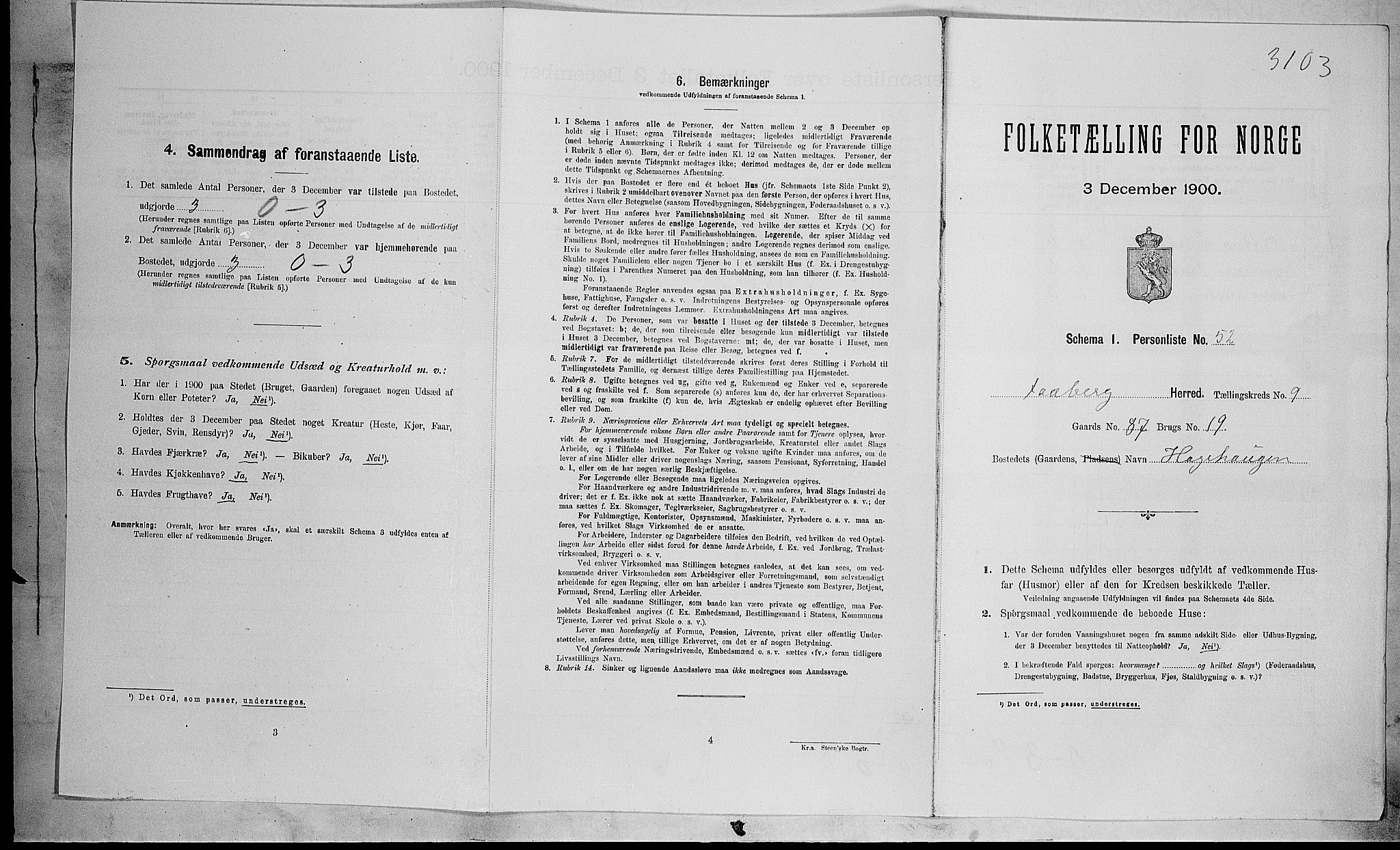SAH, Folketelling 1900 for 0524 Fåberg herred, 1900, s. 991