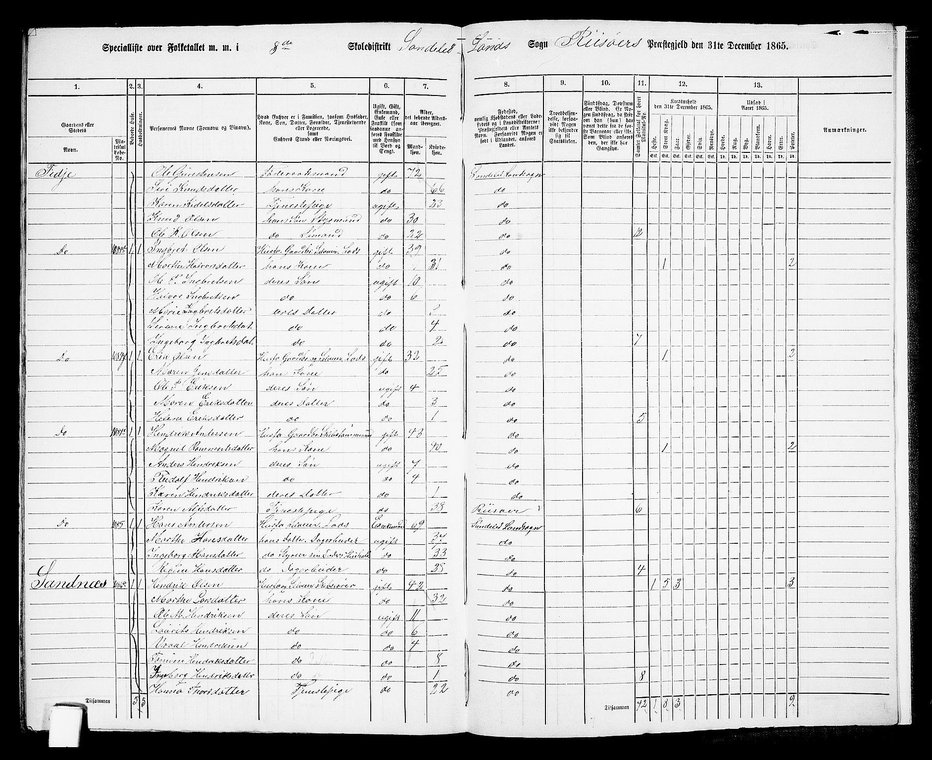 RA, Folketelling 1865 for 0913L Risør prestegjeld, Søndeled sokn, 1865, s. 151