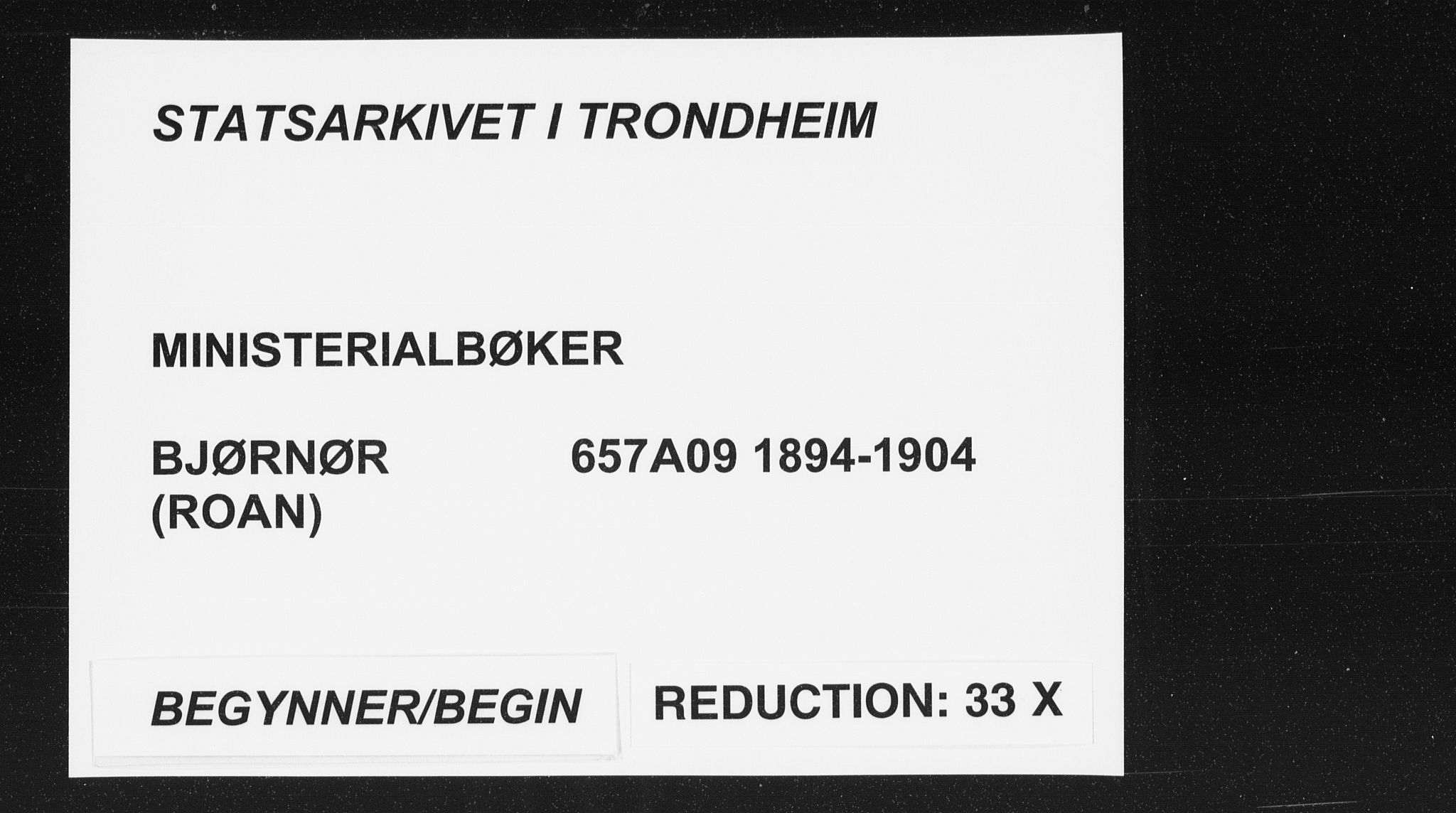 Ministerialprotokoller, klokkerbøker og fødselsregistre - Sør-Trøndelag, AV/SAT-A-1456/657/L0708: Ministerialbok nr. 657A09, 1894-1904