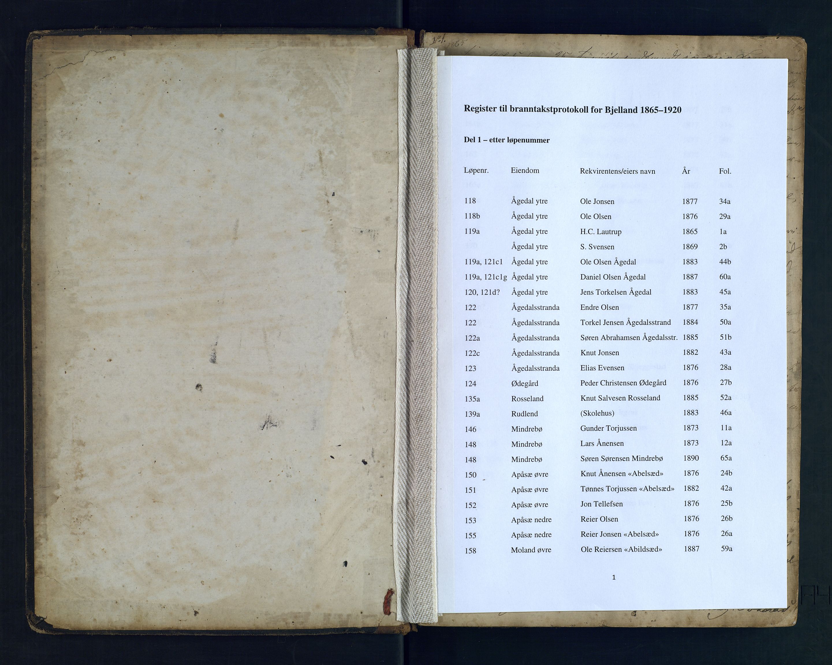 Norges Brannkasse Bjelland, AV/SAK-2241-0006/F/Fa/L0001A: Branntakstprotokoll med gårdsnavnregister, 1865-1920