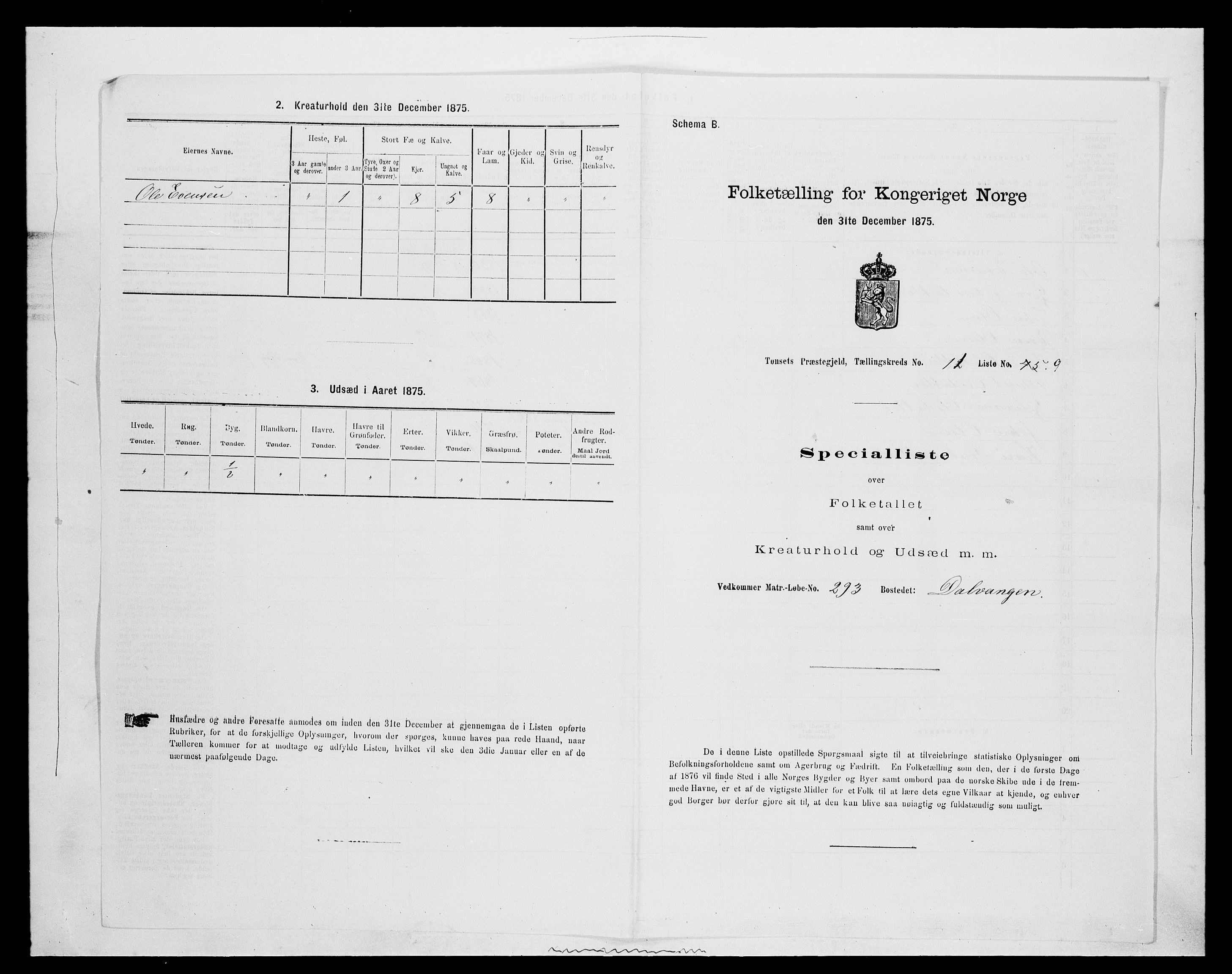 SAH, Folketelling 1875 for 0437P Tynset prestegjeld, 1875, s. 1013