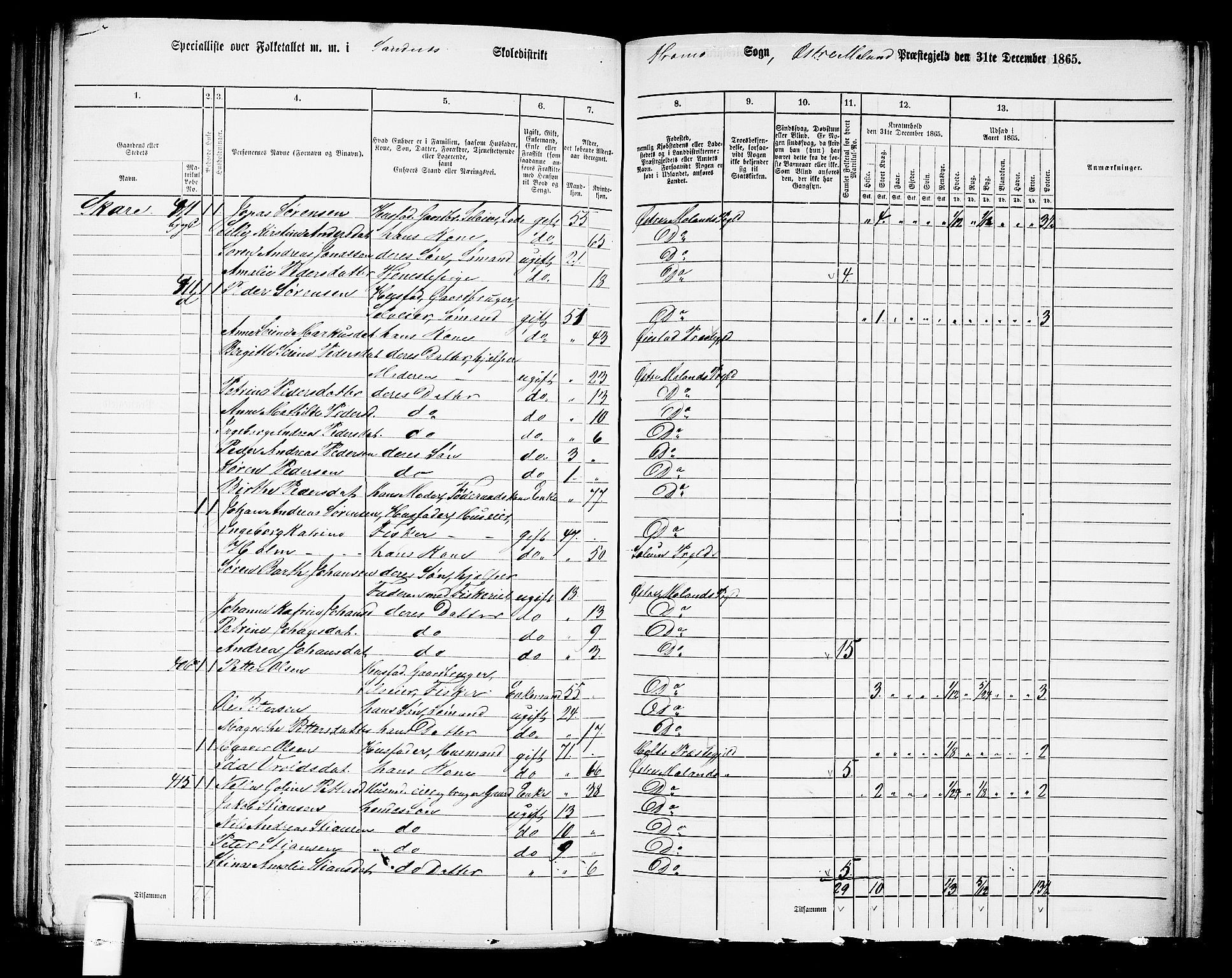 RA, Folketelling 1865 for 0918P Austre Moland prestegjeld, 1865, s. 191