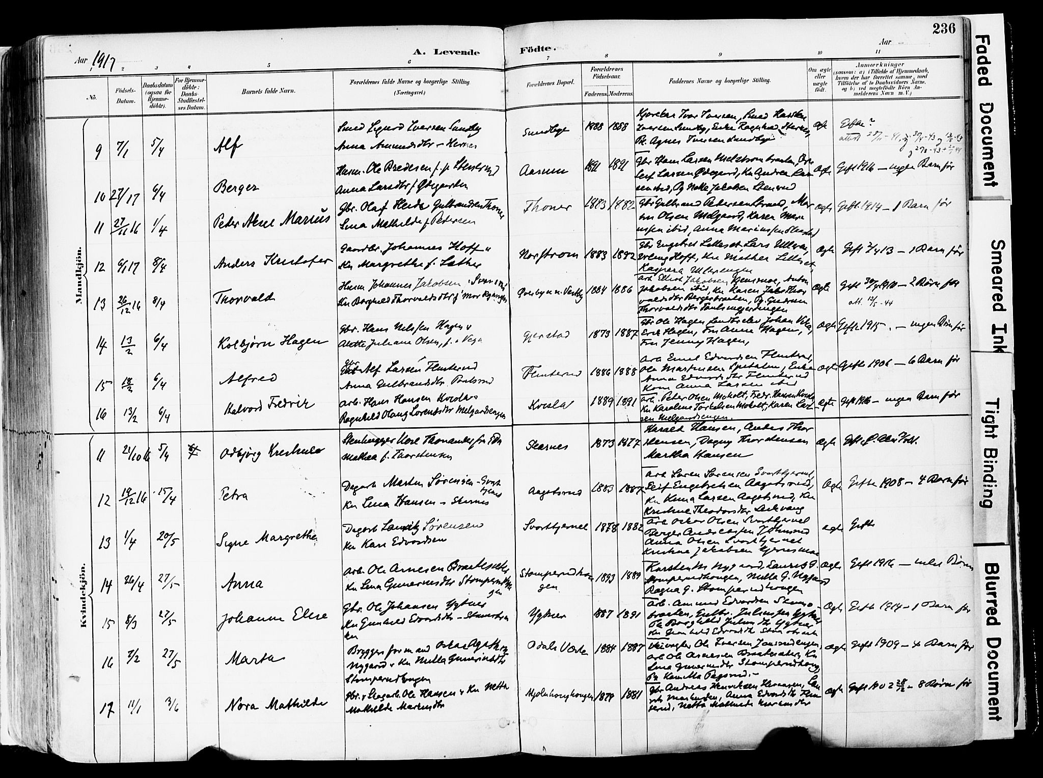 Sør-Odal prestekontor, AV/SAH-PREST-030/H/Ha/Haa/L0006: Ministerialbok nr. 6, 1886-1931, s. 236