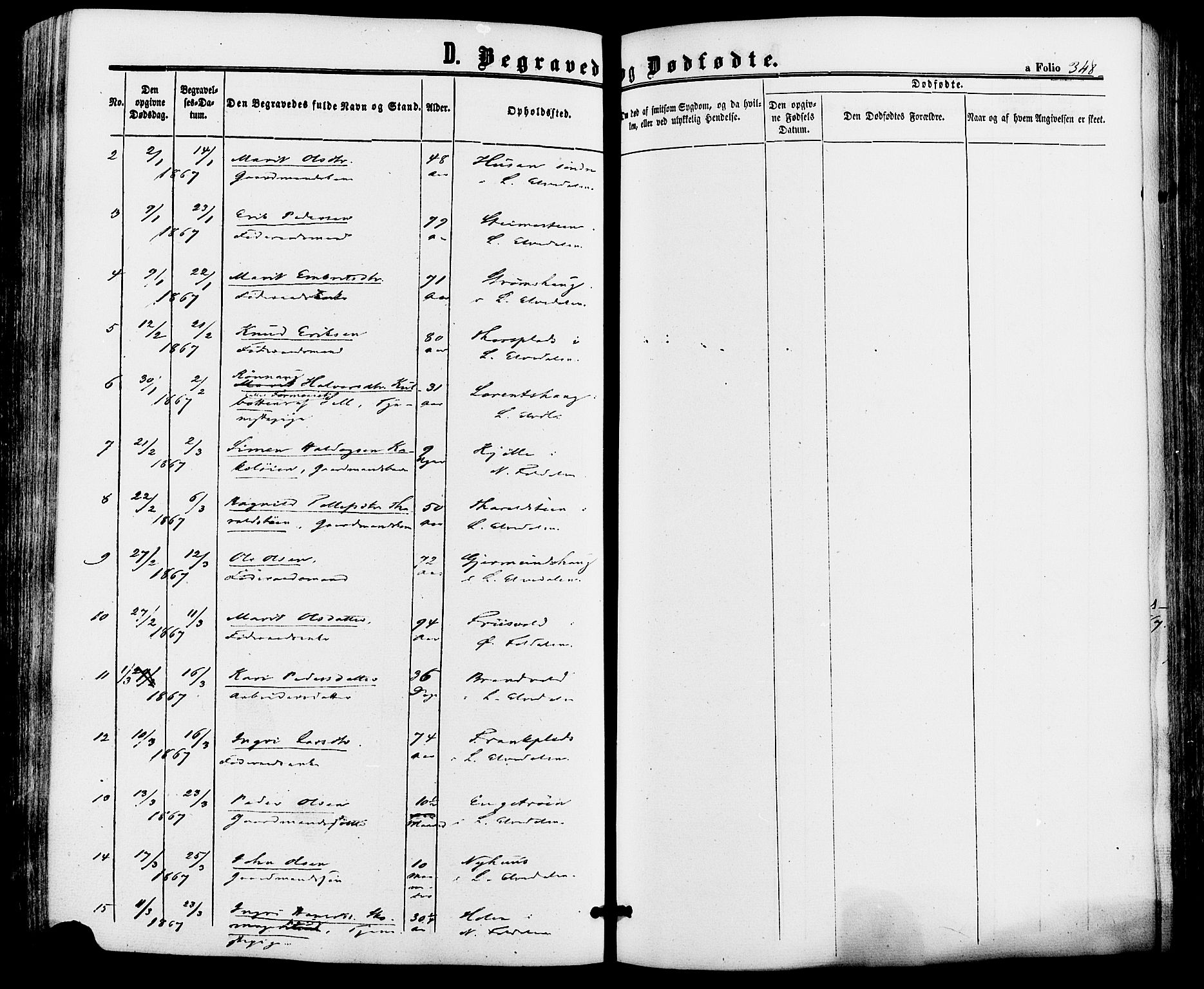 Alvdal prestekontor, SAH/PREST-060/H/Ha/Haa/L0001: Ministerialbok nr. 1, 1863-1882, s. 348