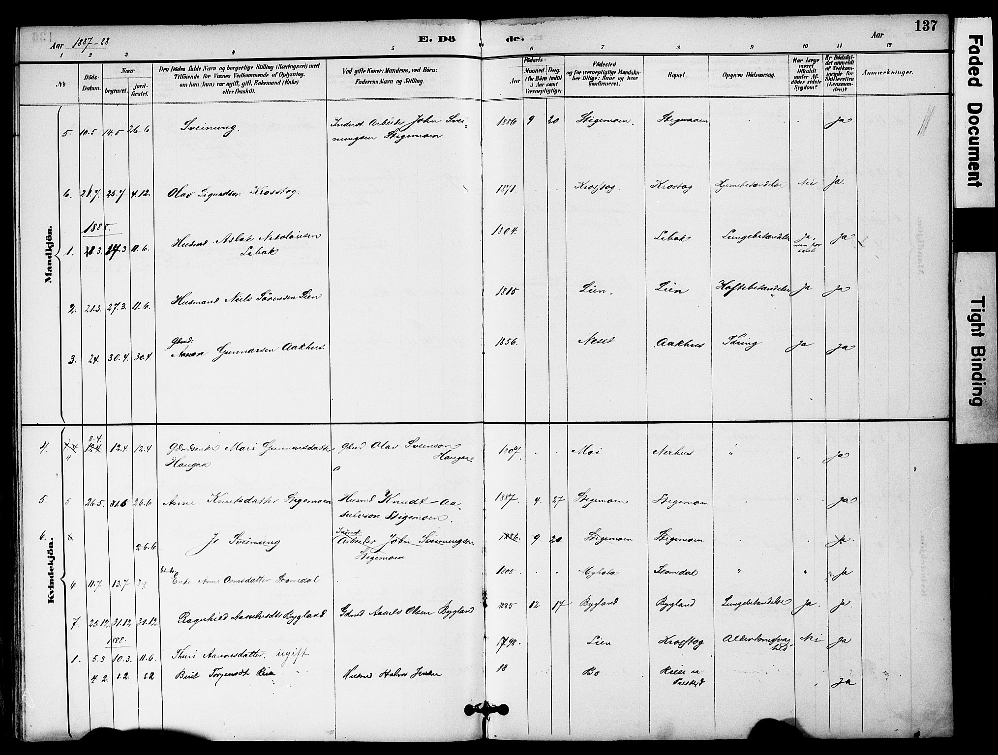 Bygland sokneprestkontor, SAK/1111-0006/F/Fa/Fab/L0007: Ministerialbok nr. A 7, 1885-1909, s. 137