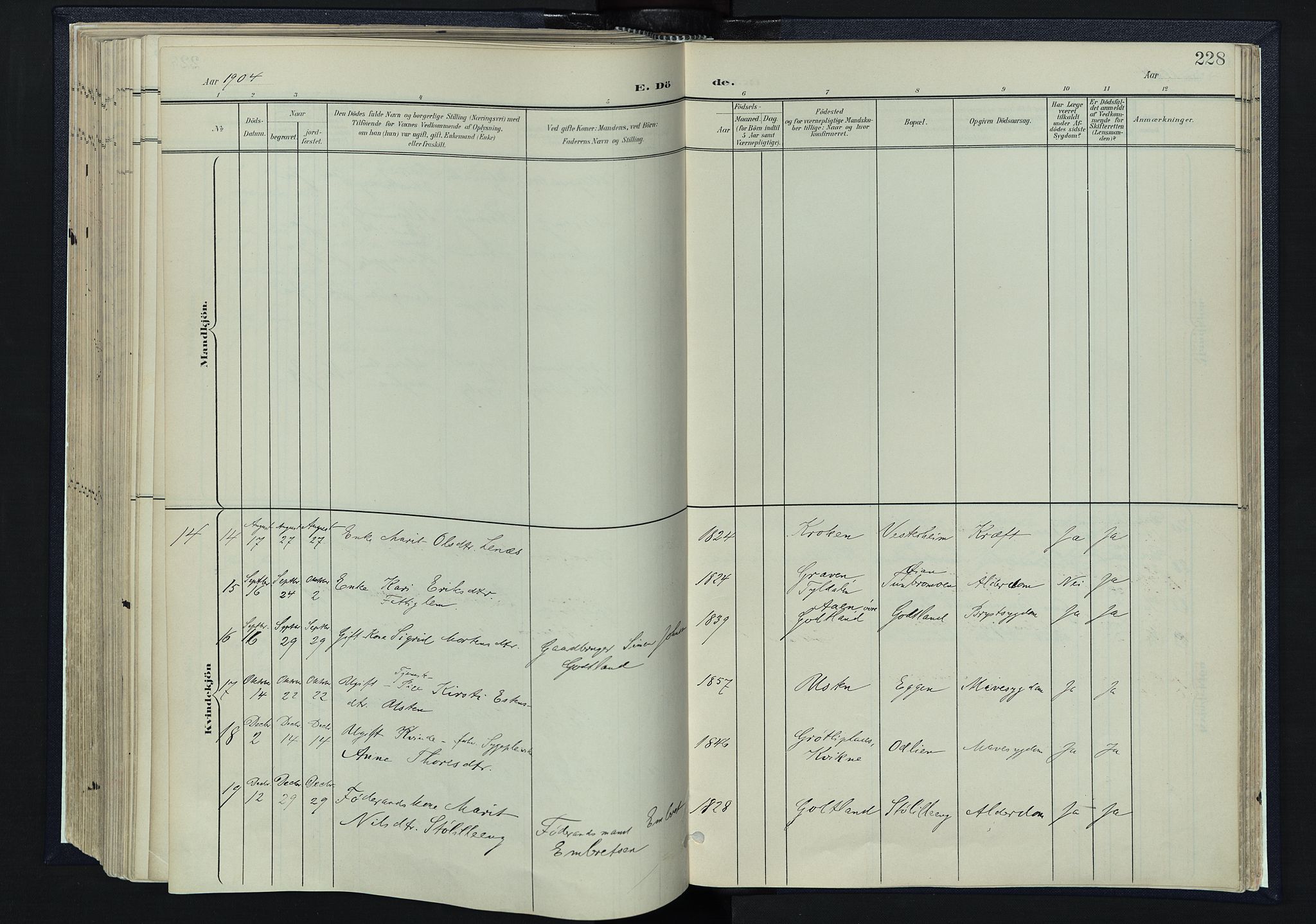 Tynset prestekontor, AV/SAH-PREST-058/H/Ha/Haa/L0025: Ministerialbok nr. 25, 1900-1914, s. 228