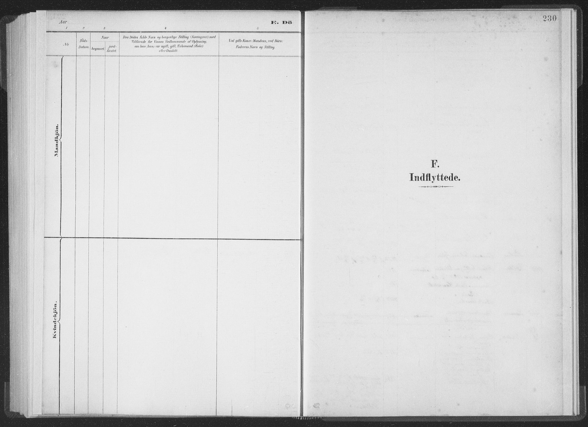 Ministerialprotokoller, klokkerbøker og fødselsregistre - Møre og Romsdal, SAT/A-1454/502/L0025: Ministerialbok nr. 502A03, 1885-1909, s. 230