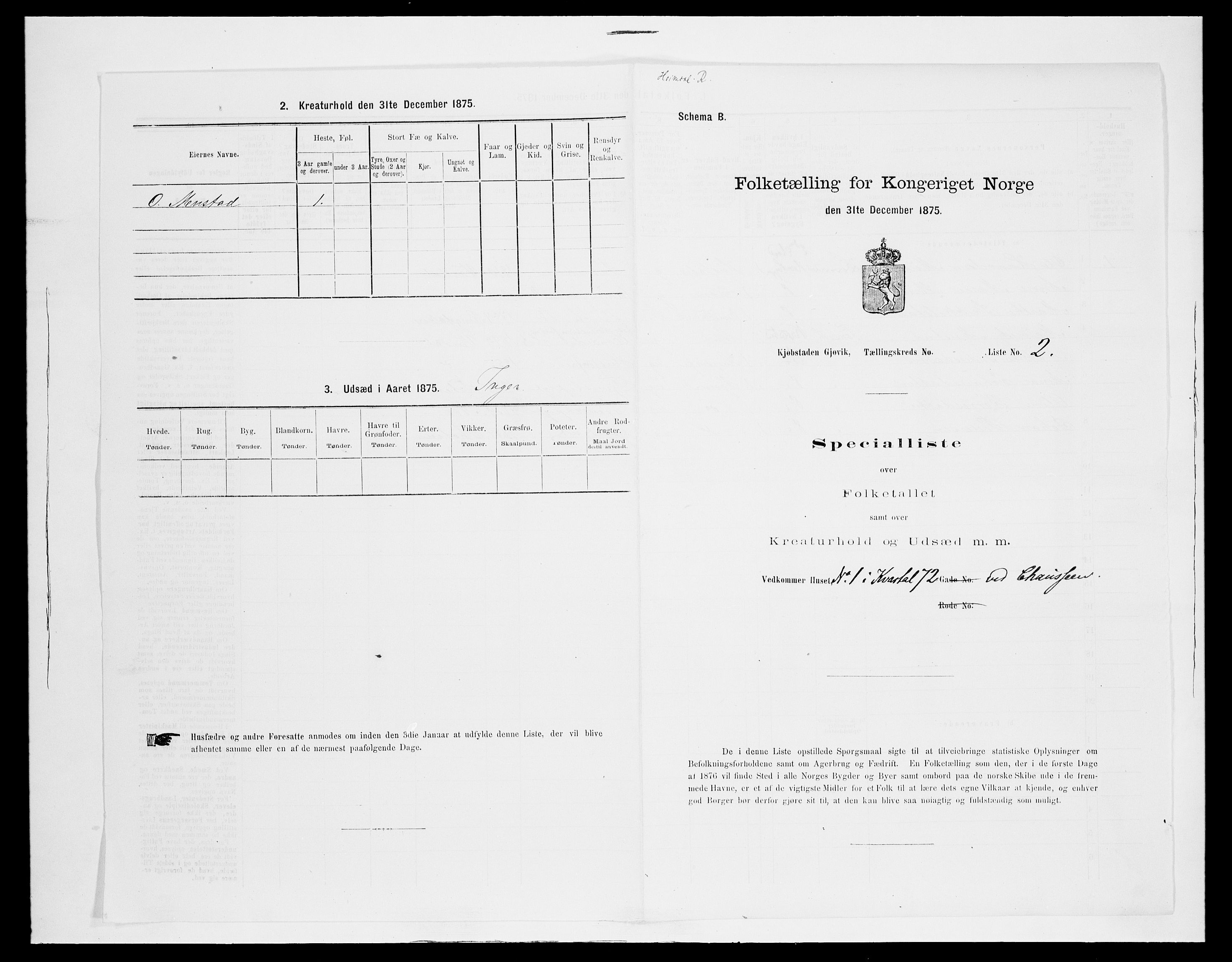 SAH, Folketelling 1875 for 0502B Vardal prestegjeld, Gjøvik kjøpstad, 1875, s. 11