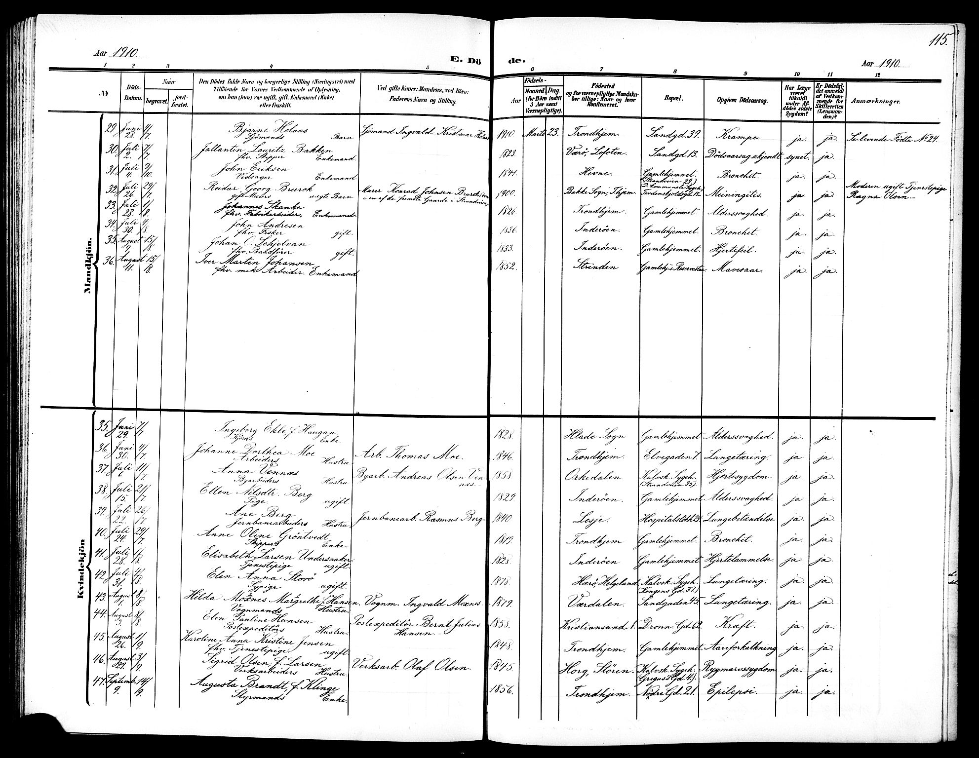 Ministerialprotokoller, klokkerbøker og fødselsregistre - Sør-Trøndelag, AV/SAT-A-1456/602/L0146: Klokkerbok nr. 602C14, 1904-1914, s. 115