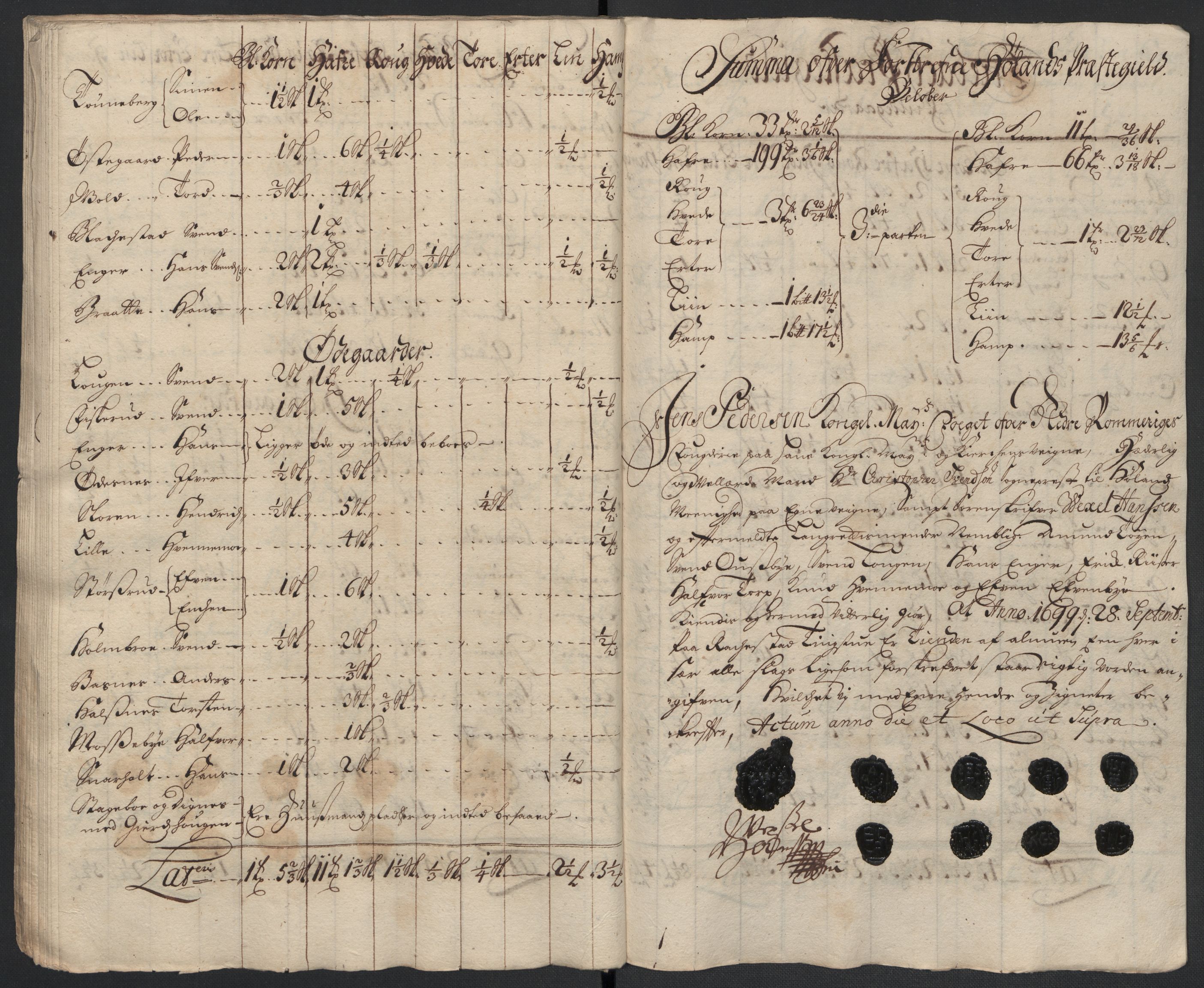 Rentekammeret inntil 1814, Reviderte regnskaper, Fogderegnskap, AV/RA-EA-4092/R11/L0582: Fogderegnskap Nedre Romerike, 1699, s. 45