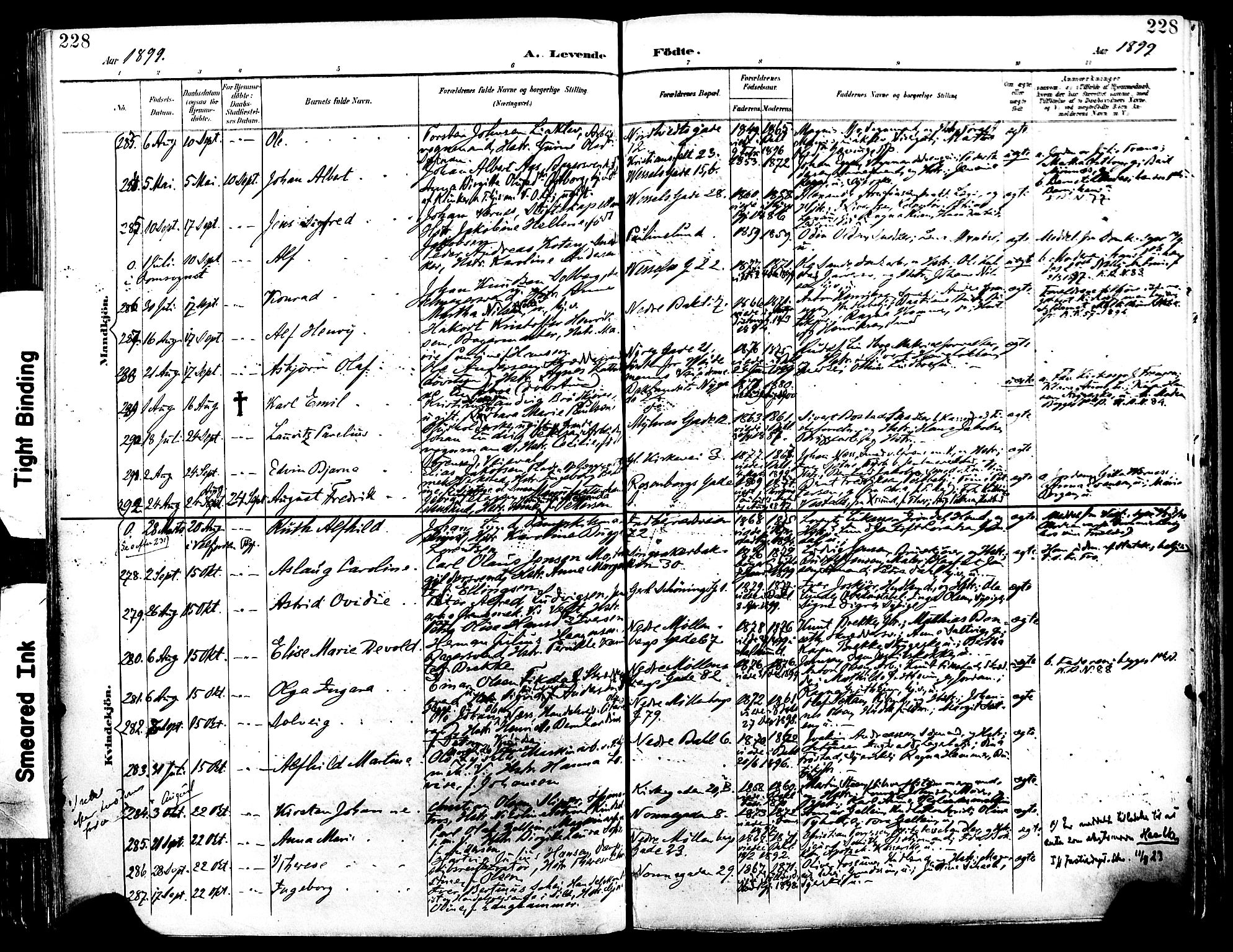 Ministerialprotokoller, klokkerbøker og fødselsregistre - Sør-Trøndelag, SAT/A-1456/604/L0197: Ministerialbok nr. 604A18, 1893-1900, s. 228
