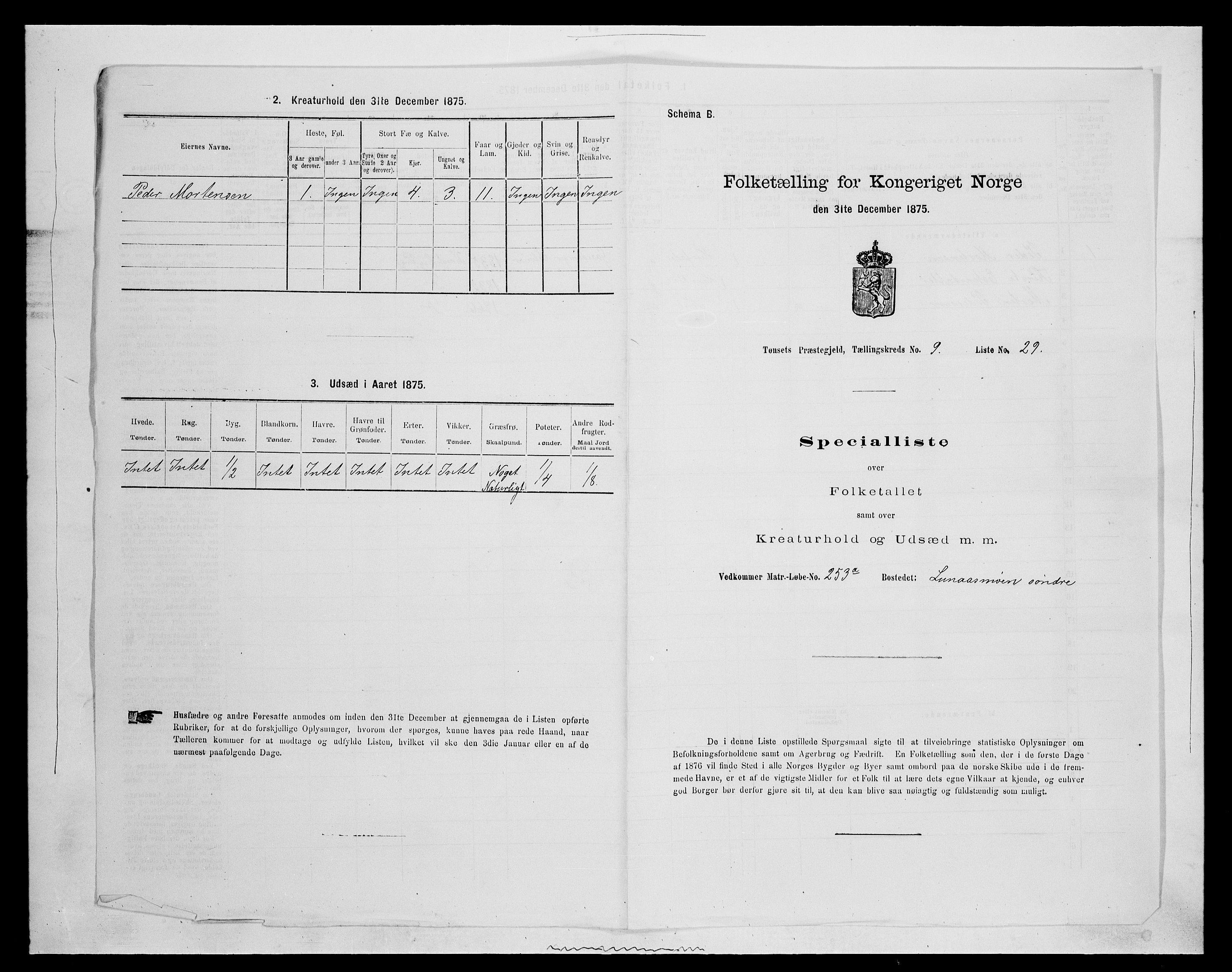 SAH, Folketelling 1875 for 0437P Tynset prestegjeld, 1875, s. 961