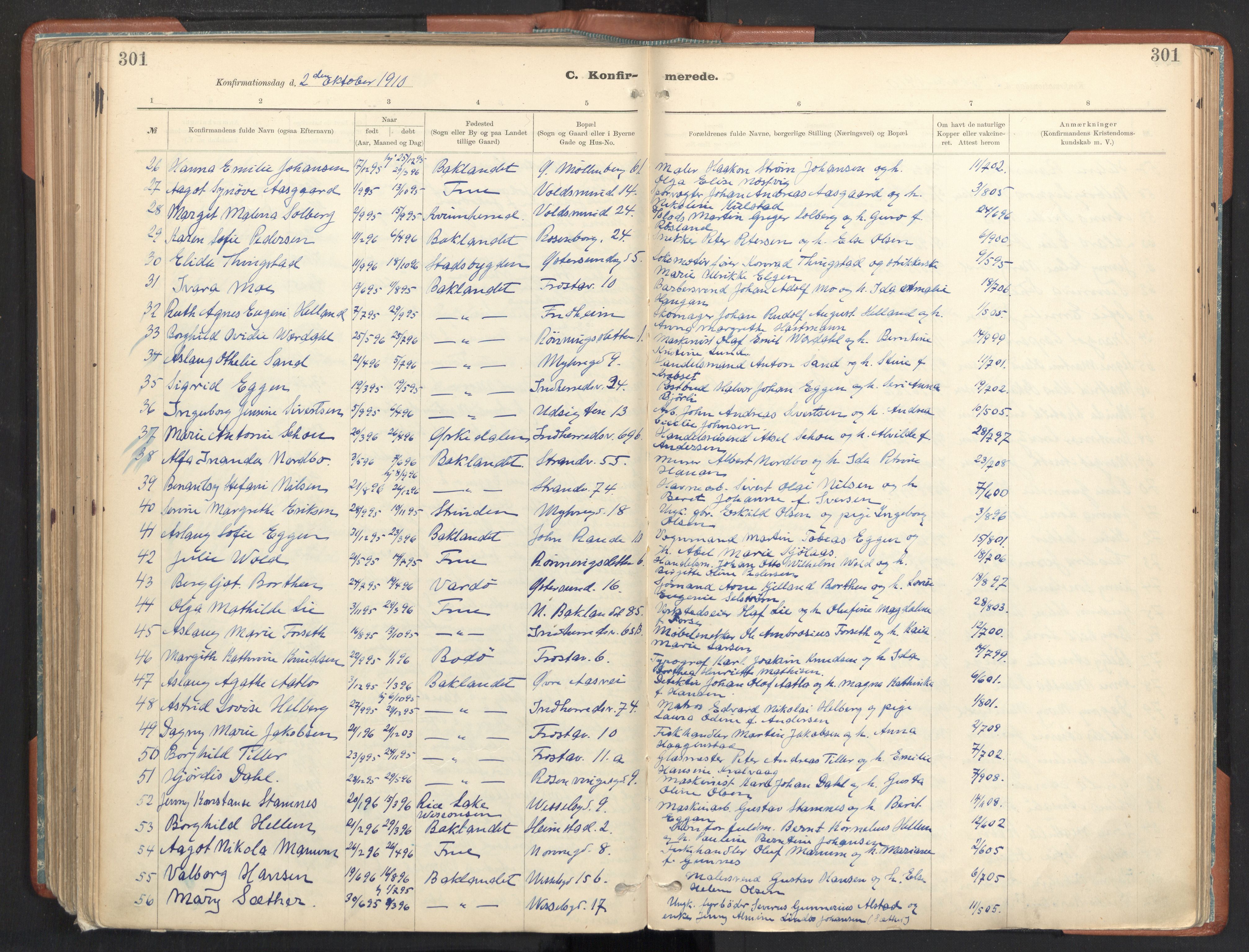 Ministerialprotokoller, klokkerbøker og fødselsregistre - Sør-Trøndelag, AV/SAT-A-1456/605/L0243: Ministerialbok nr. 605A05, 1908-1923, s. 301