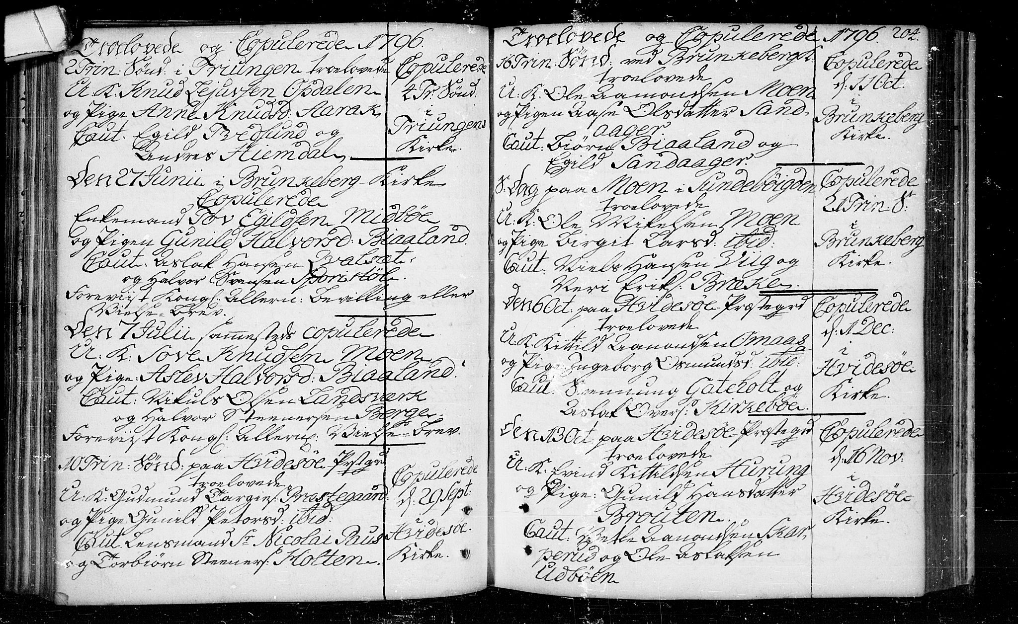 Kviteseid kirkebøker, SAKO/A-276/F/Fa/L0003: Ministerialbok nr. I 3, 1787-1799, s. 204