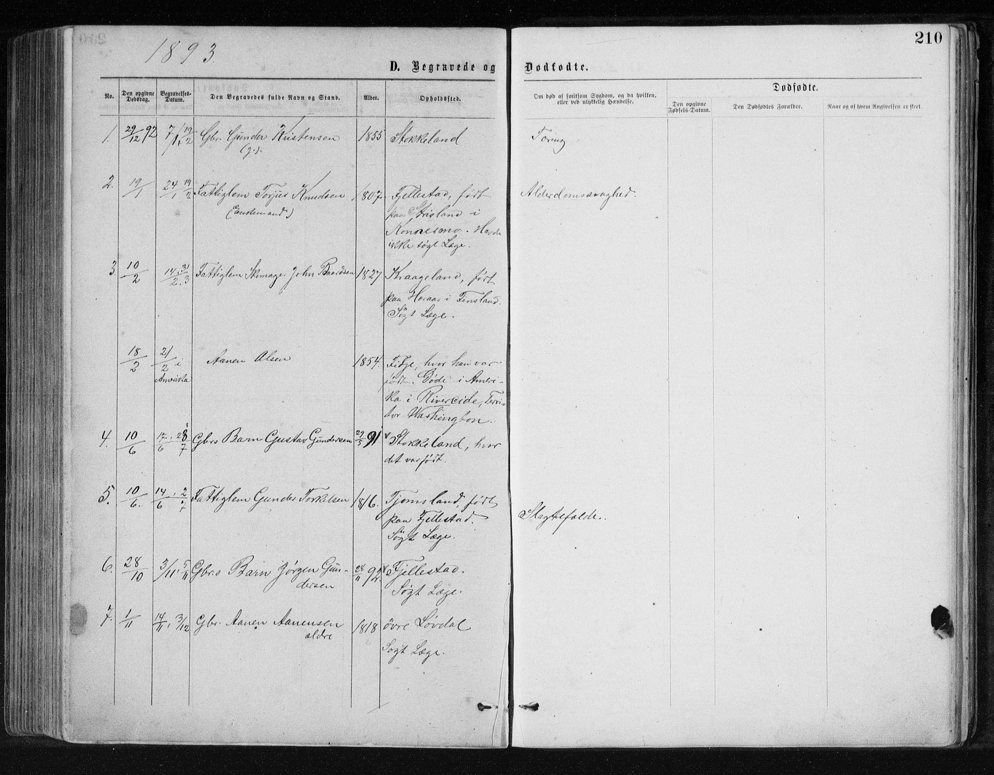 Holum sokneprestkontor, AV/SAK-1111-0022/F/Fb/Fbb/L0003: Klokkerbok nr. B 3, 1875-1898, s. 210