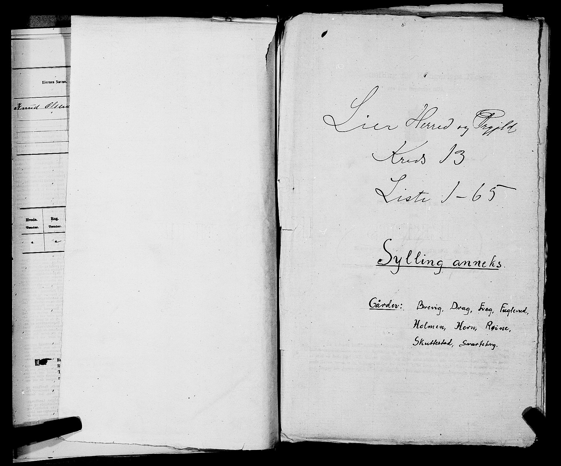 SAKO, Folketelling 1875 for 0626P Lier prestegjeld, 1875, s. 2294