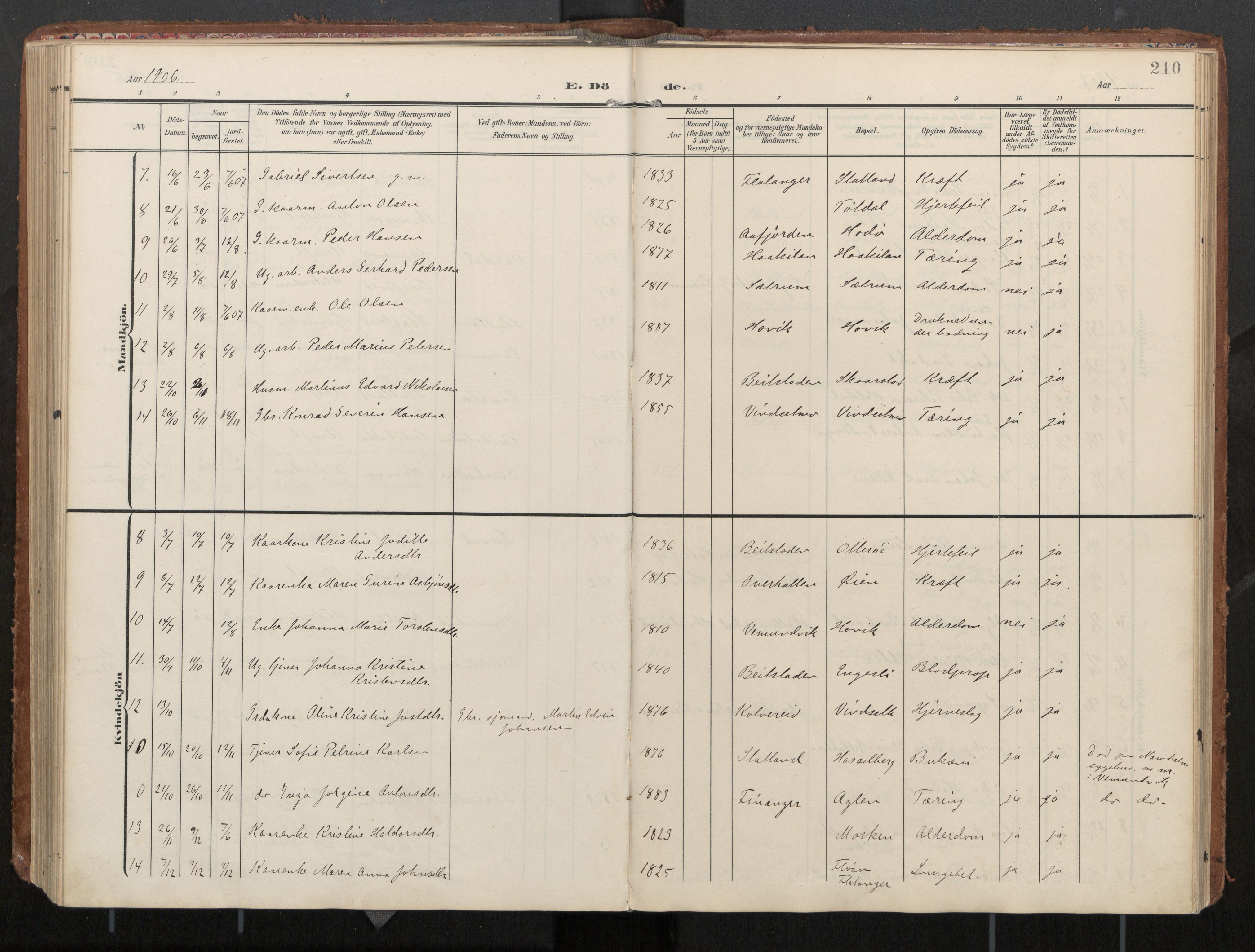 Ministerialprotokoller, klokkerbøker og fødselsregistre - Nord-Trøndelag, AV/SAT-A-1458/774/L0629: Ministerialbok, 1904-1926, s. 210