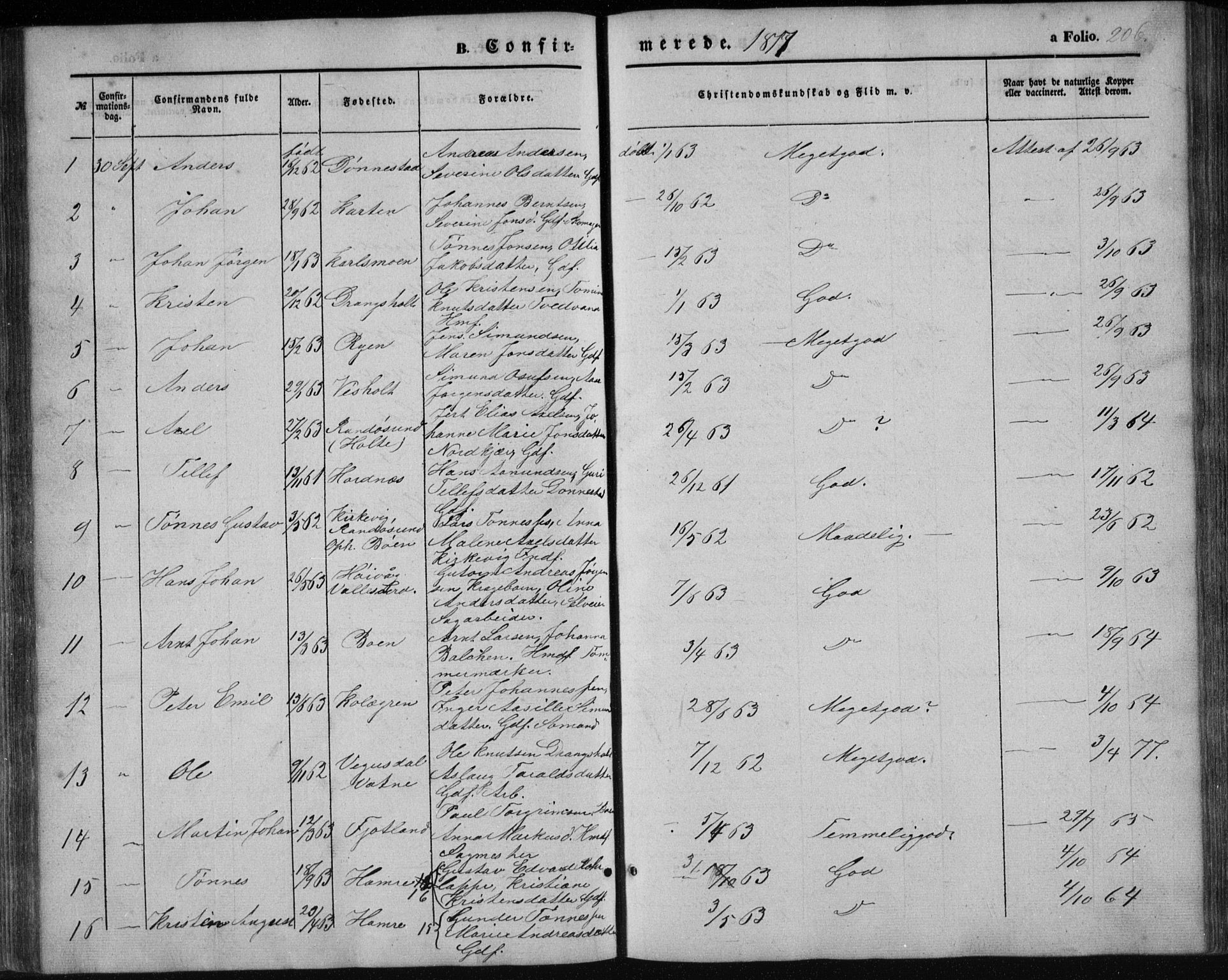 Tveit sokneprestkontor, AV/SAK-1111-0043/F/Fb/L0003: Klokkerbok nr. B 3, 1854-1886, s. 206