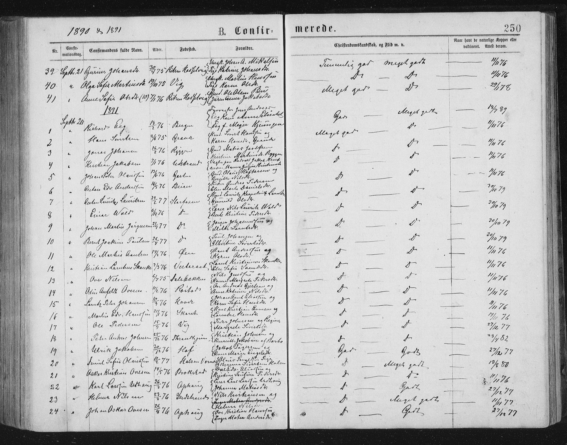 Ministerialprotokoller, klokkerbøker og fødselsregistre - Sør-Trøndelag, AV/SAT-A-1456/659/L0745: Klokkerbok nr. 659C02, 1869-1892, s. 250