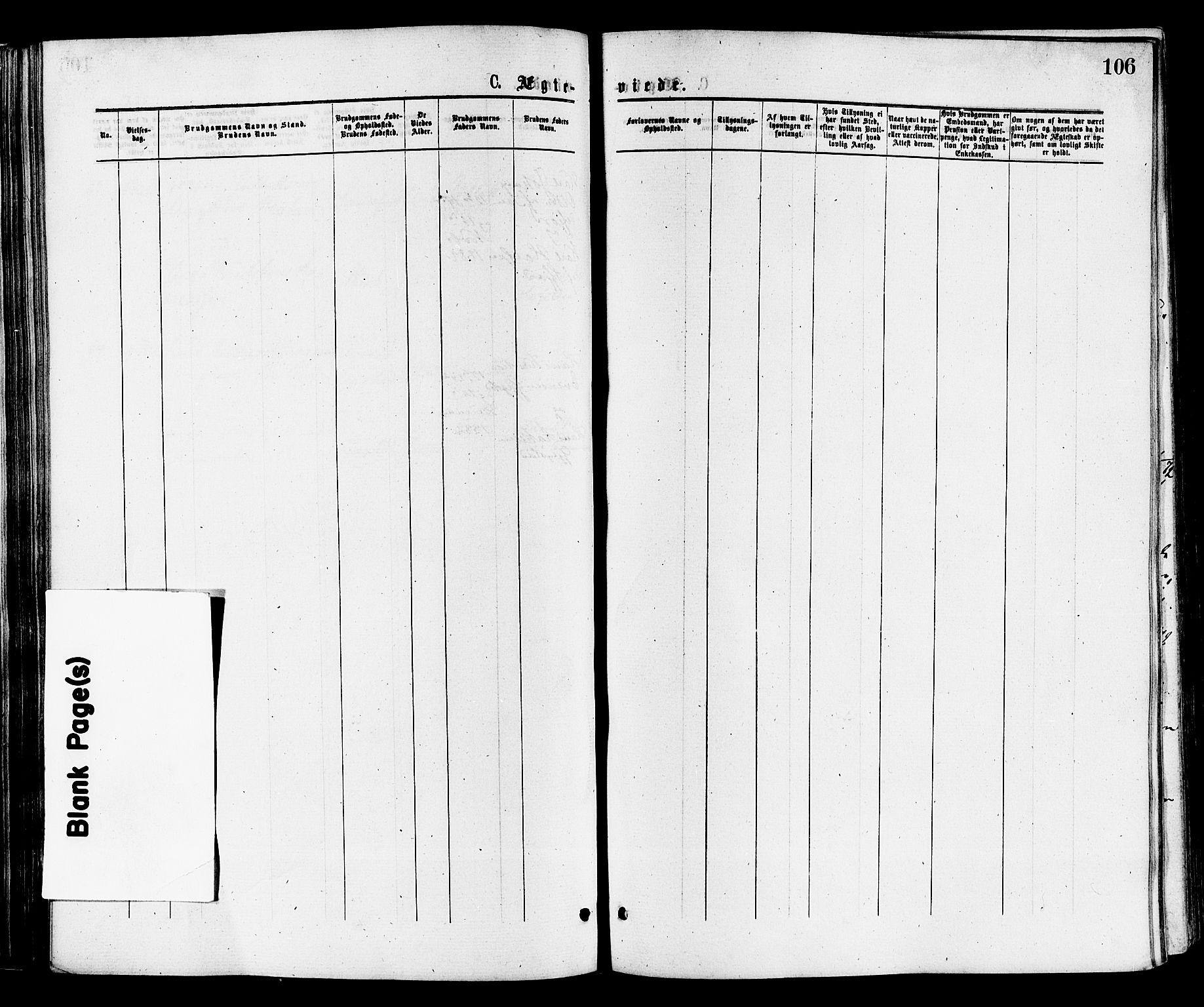 Sandar kirkebøker, AV/SAKO-A-243/F/Fa/L0011: Ministerialbok nr. 11, 1872-1882, s. 106