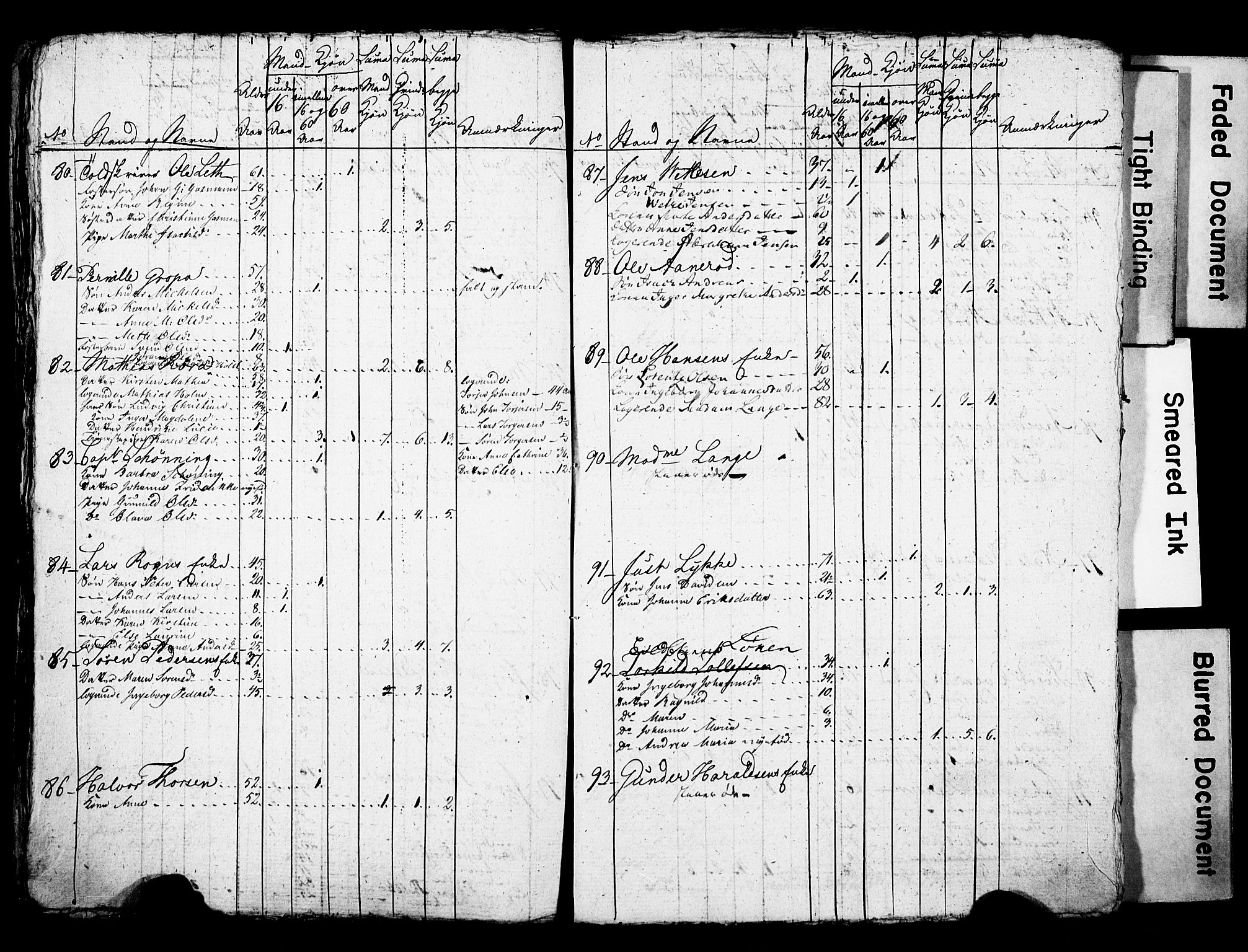 LOK, Folketelling 1815 for 0805P Porsgrunn prestegjeld, 1815, s. 21