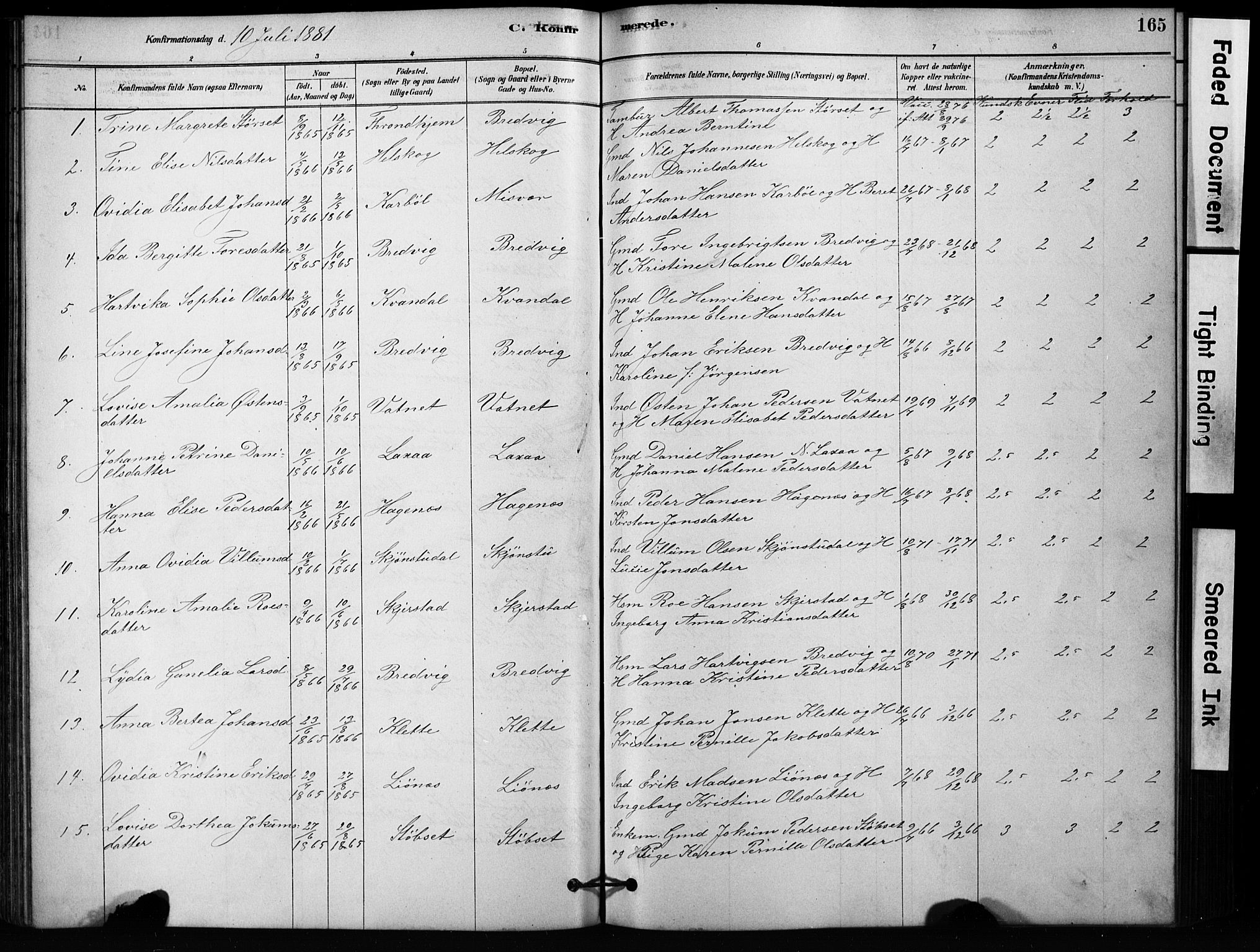 Ministerialprotokoller, klokkerbøker og fødselsregistre - Nordland, AV/SAT-A-1459/852/L0754: Klokkerbok nr. 852C05, 1878-1894, s. 165