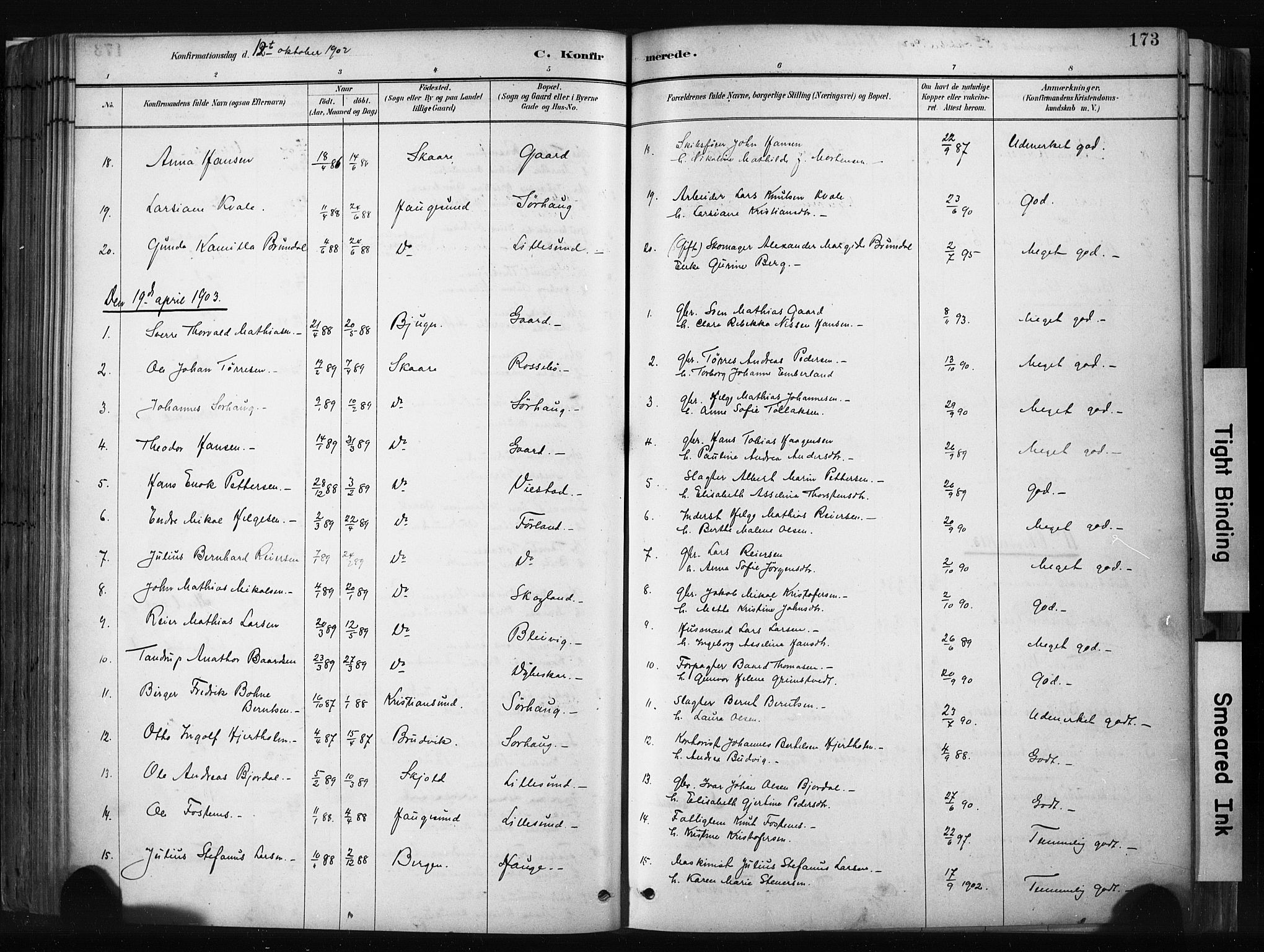 Haugesund sokneprestkontor, AV/SAST-A -101863/H/Ha/Haa/L0004: Ministerialbok nr. A 4, 1886-1908, s. 173