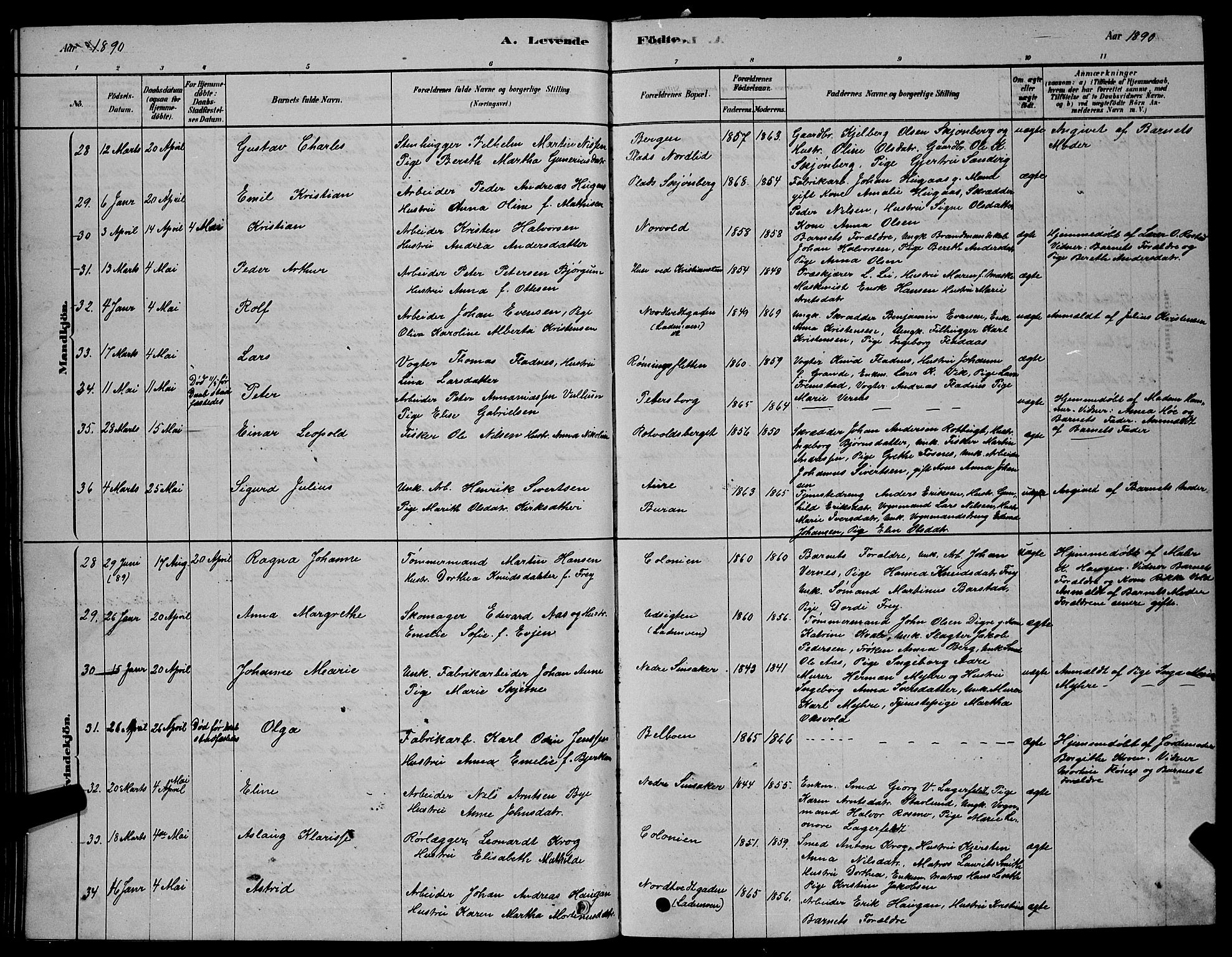 Ministerialprotokoller, klokkerbøker og fødselsregistre - Sør-Trøndelag, AV/SAT-A-1456/606/L0312: Klokkerbok nr. 606C08, 1878-1894