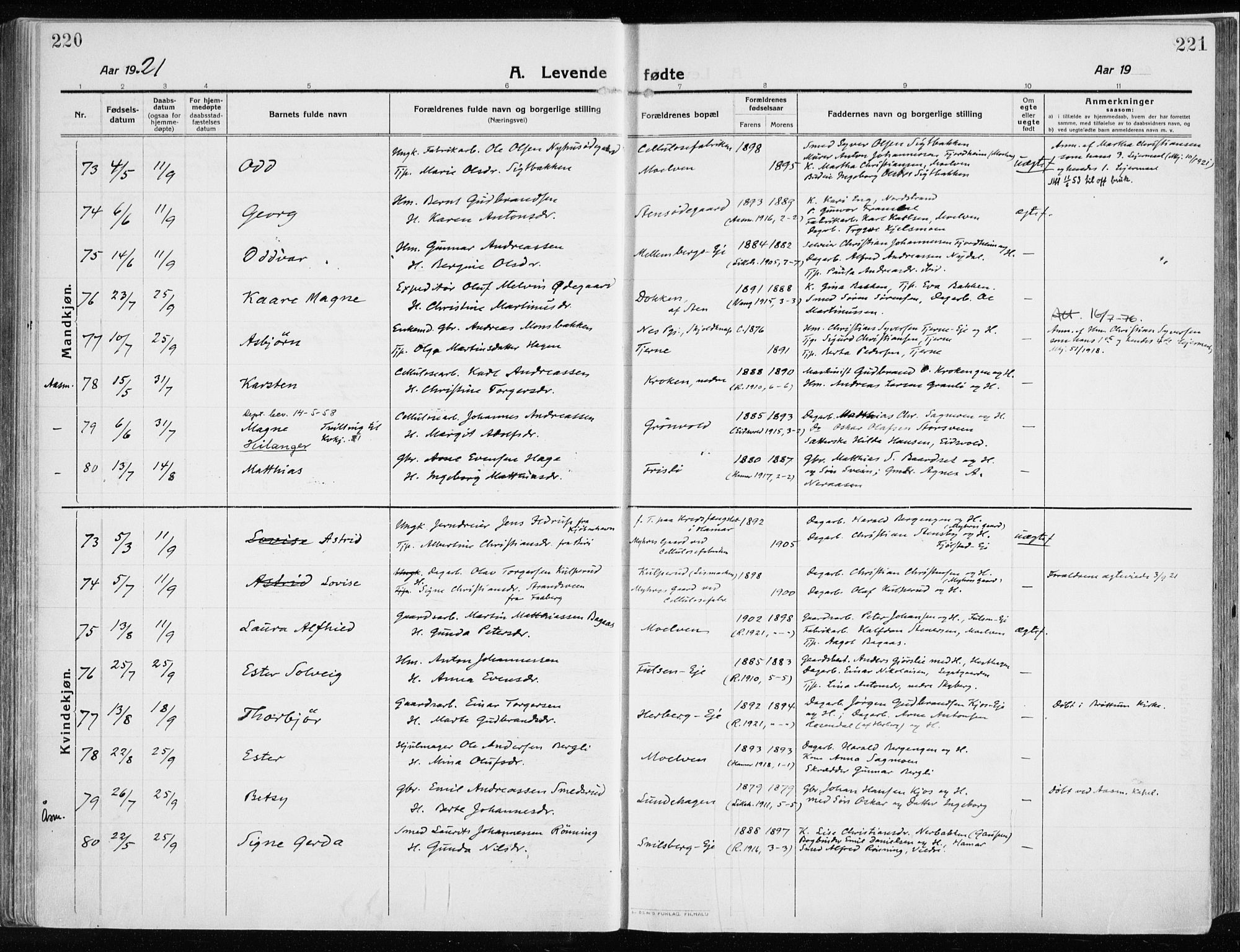 Ringsaker prestekontor, AV/SAH-PREST-014/K/Ka/L0020: Ministerialbok nr. 20, 1913-1922, s. 220-221