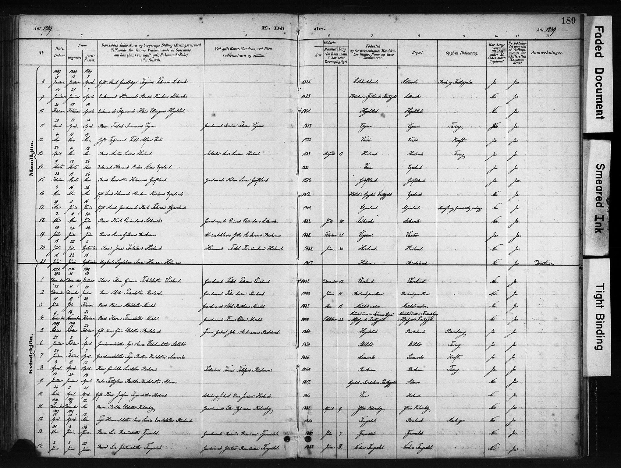 Helleland sokneprestkontor, AV/SAST-A-101810: Ministerialbok nr. A 9, 1887-1908, s. 189