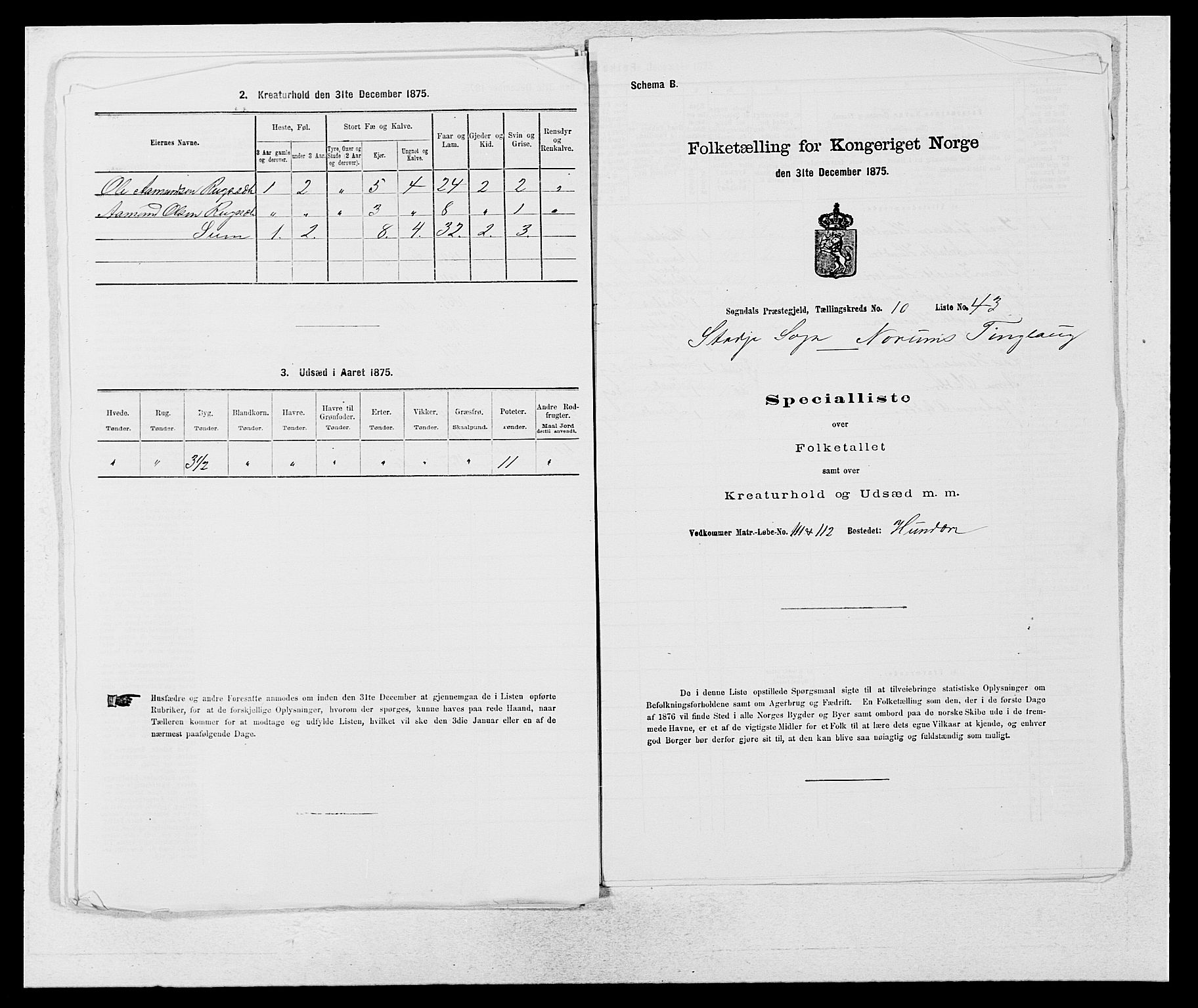 SAB, Folketelling 1875 for 1420P Sogndal prestegjeld, 1875, s. 972