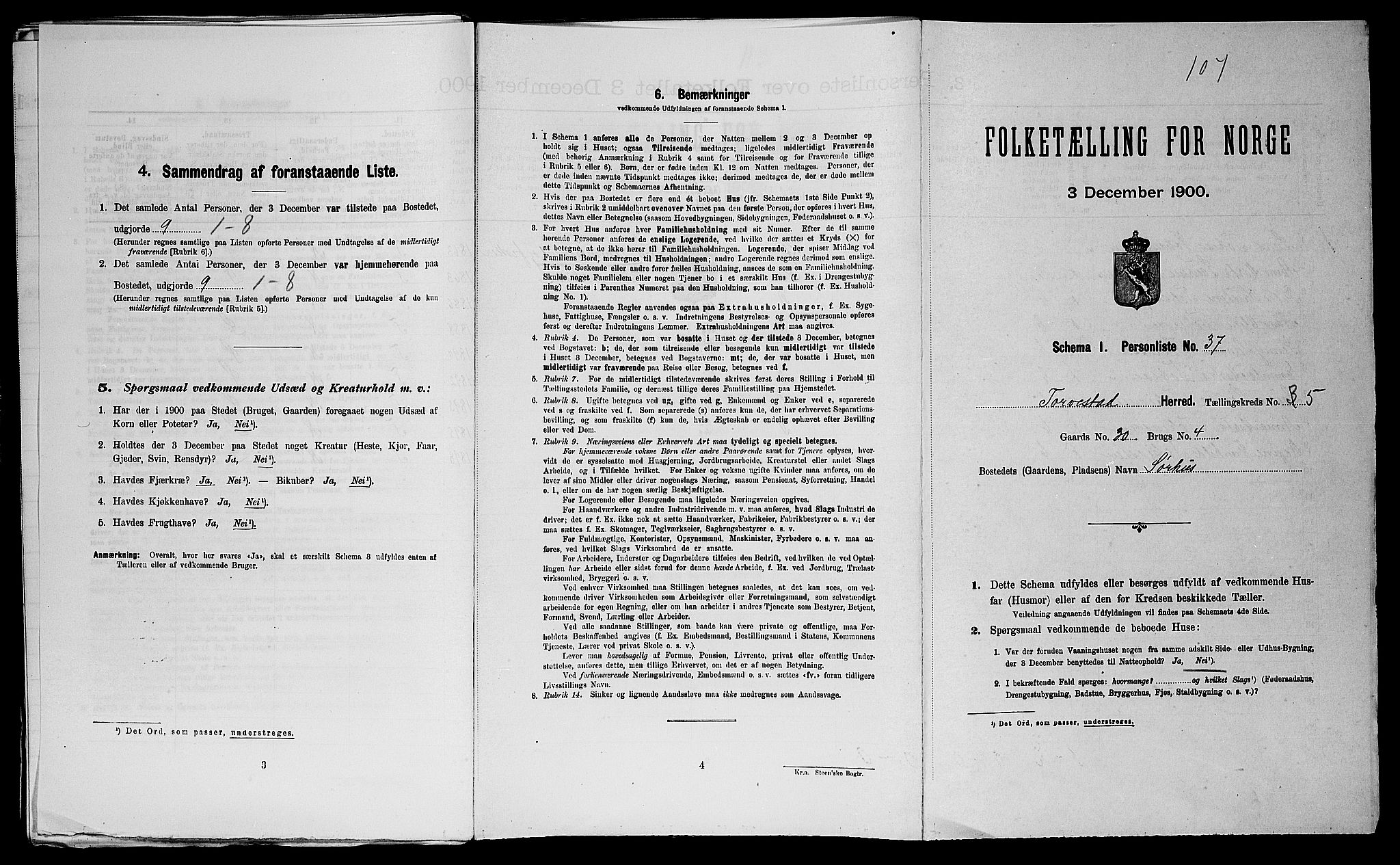 SAST, Folketelling 1900 for 1152 Torvastad herred, 1900, s. 675