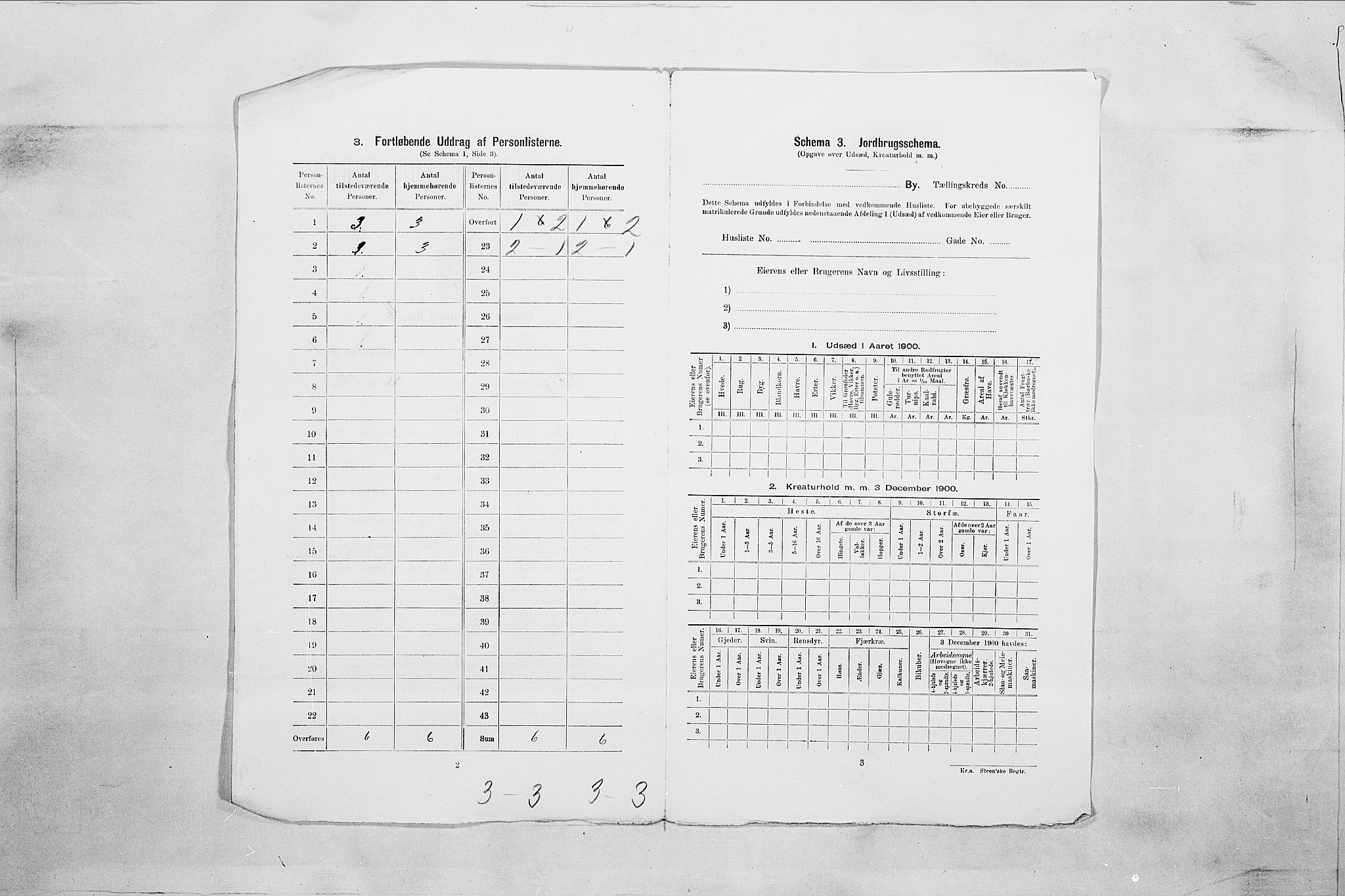 SAO, Folketelling 1900 for 0103 Fredrikstad kjøpstad, 1900