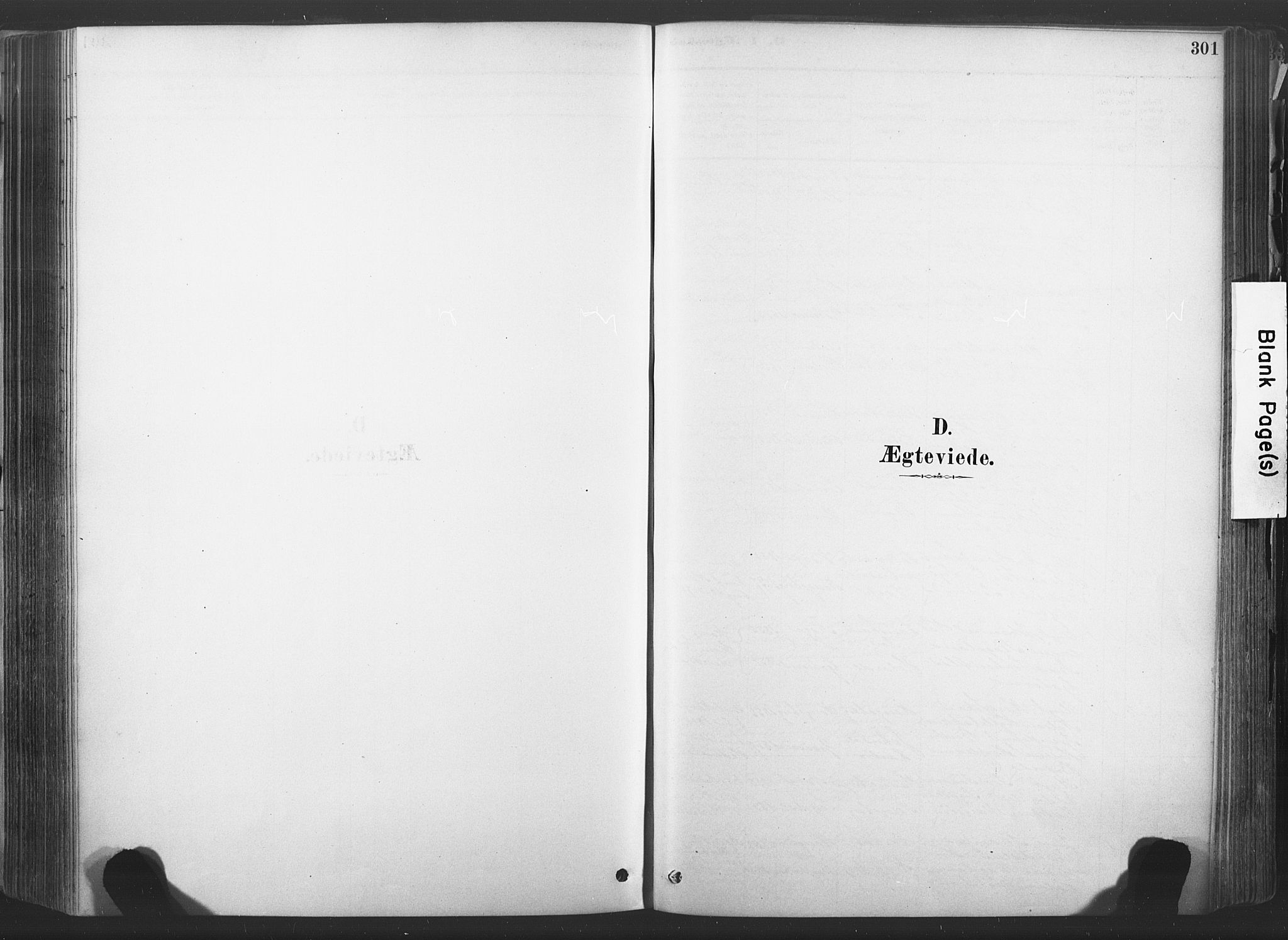 Sandsvær kirkebøker, SAKO/A-244/F/Fd/L0001: Ministerialbok nr. IV 1, 1878-1906, s. 301