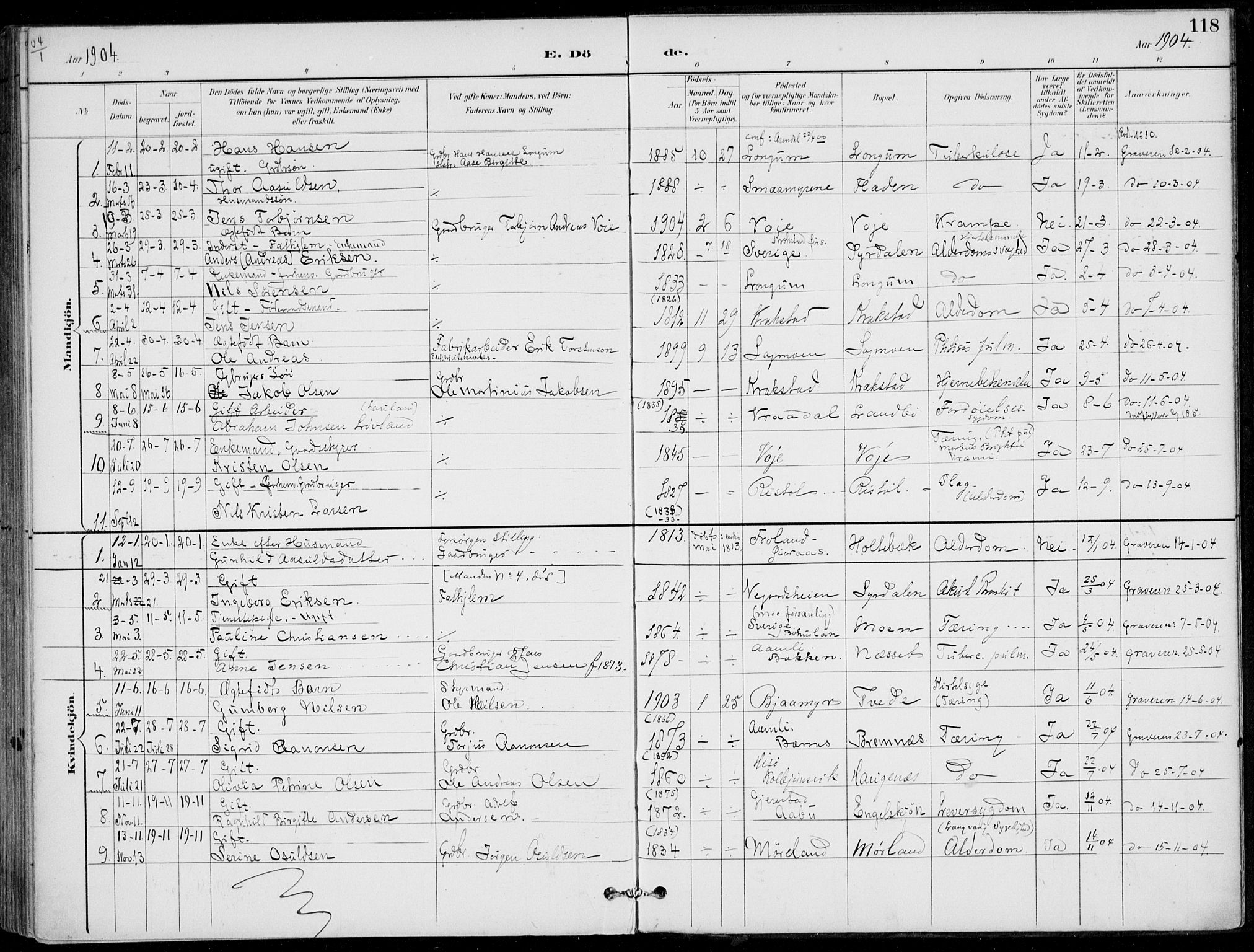 Austre Moland sokneprestkontor, AV/SAK-1111-0001/F/Fa/Faa/L0011: Ministerialbok nr. A 11, 1894-1915, s. 118
