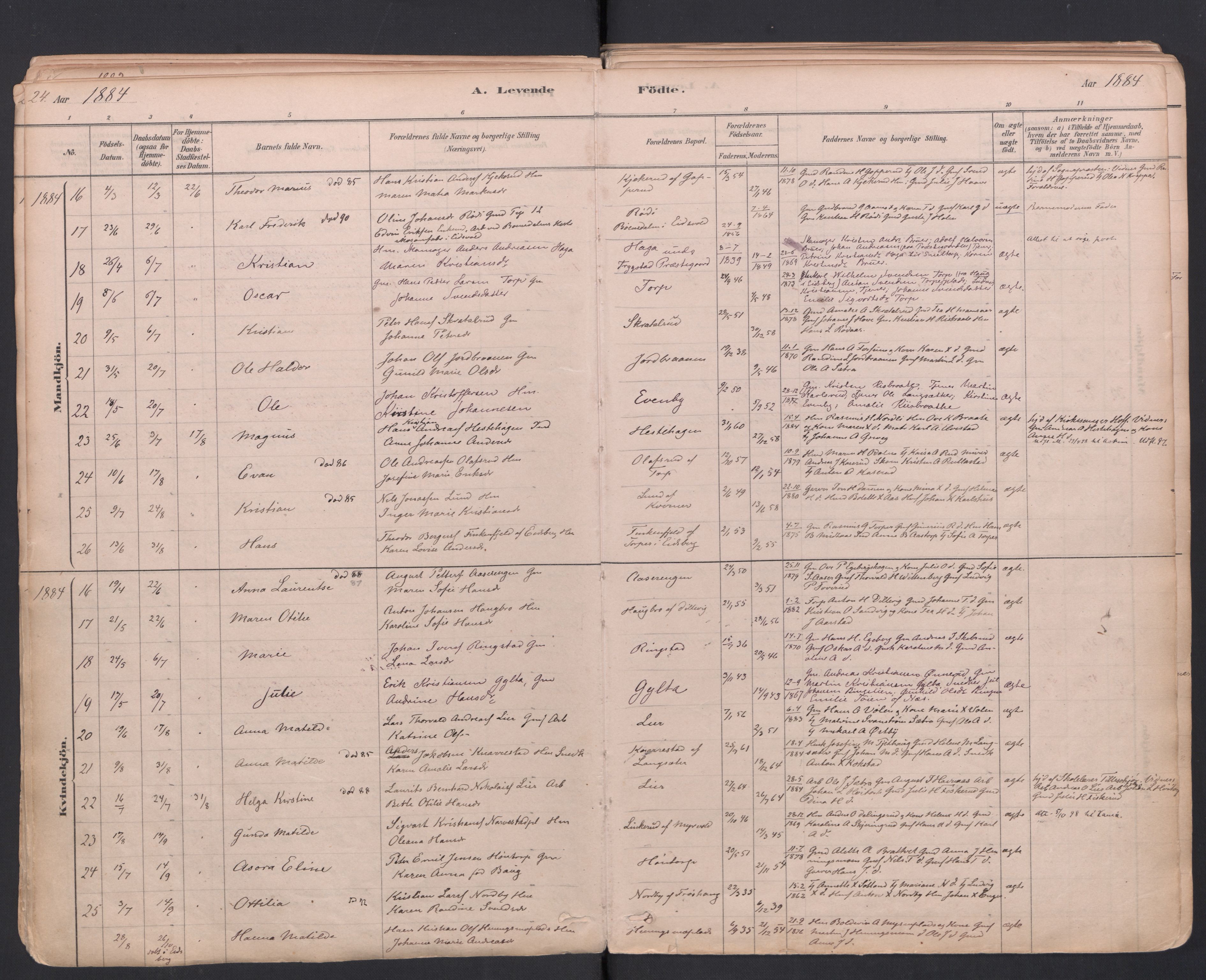 Trøgstad prestekontor Kirkebøker, AV/SAO-A-10925/F/Fa/L0010: Ministerialbok nr. I 10, 1878-1898, s. 24