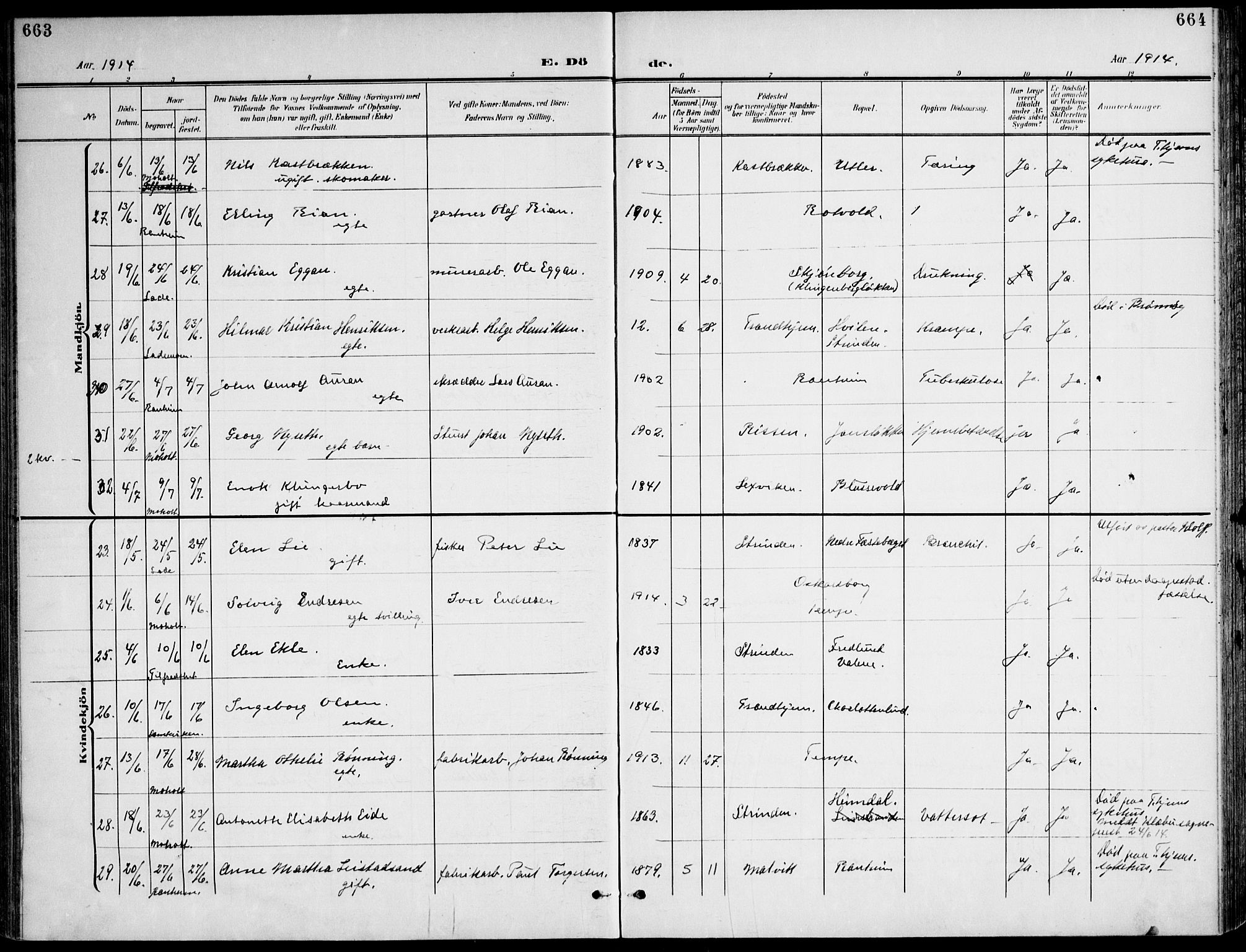 Ministerialprotokoller, klokkerbøker og fødselsregistre - Sør-Trøndelag, AV/SAT-A-1456/607/L0320: Ministerialbok nr. 607A04, 1907-1915, s. 663-664