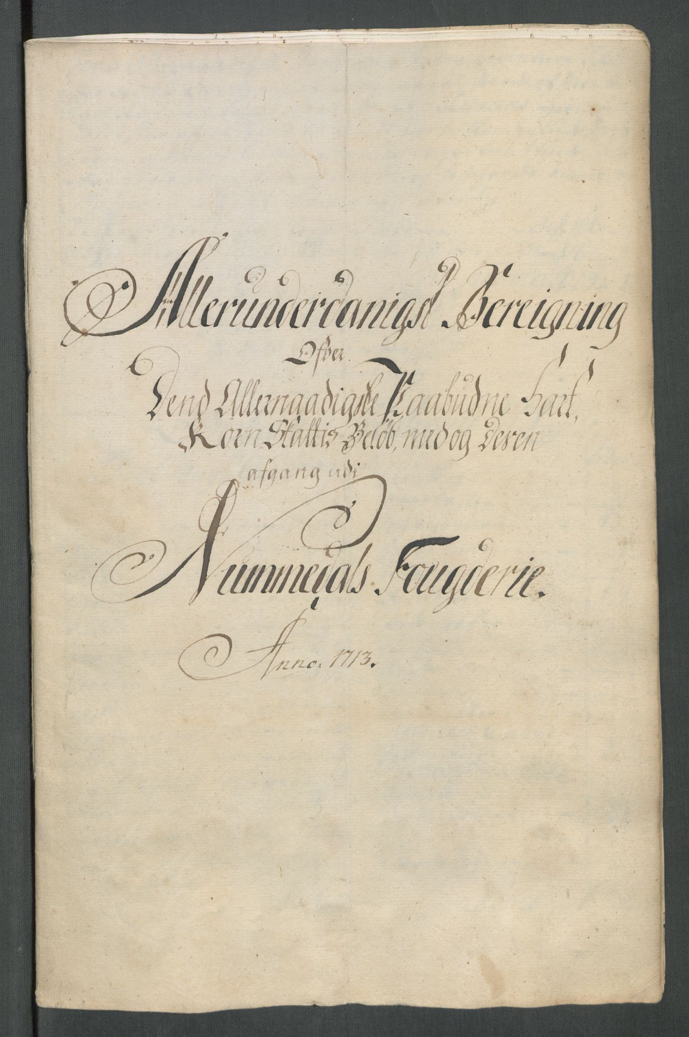 Rentekammeret inntil 1814, Reviderte regnskaper, Fogderegnskap, RA/EA-4092/R64/L4434: Fogderegnskap Namdal, 1713, s. 151