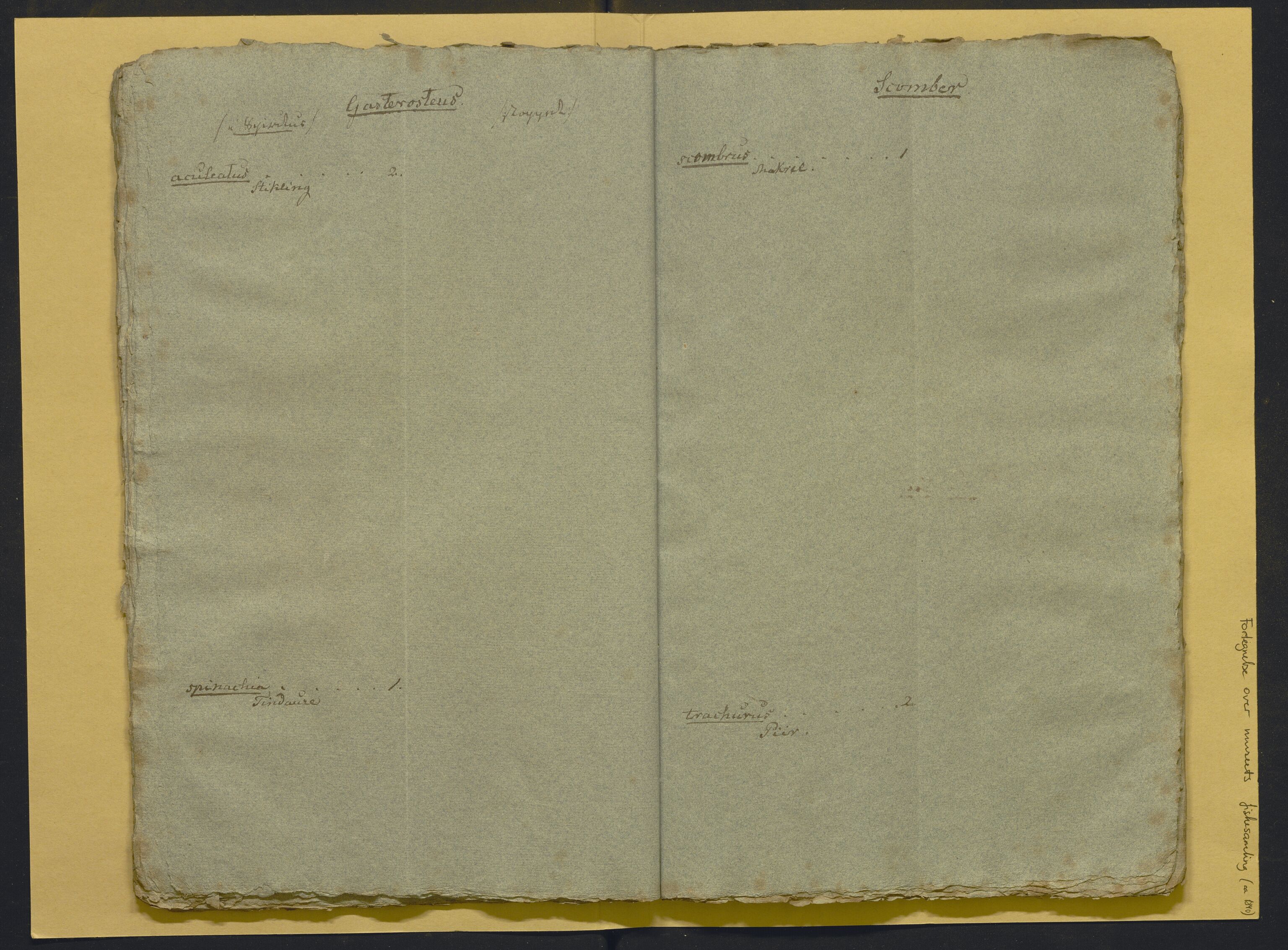 Bergens Museum, AV/SAB-A-17301/02/F/L0001: Kataloger over gjenstander og pergamentbrev , 1825-1880, s. 508