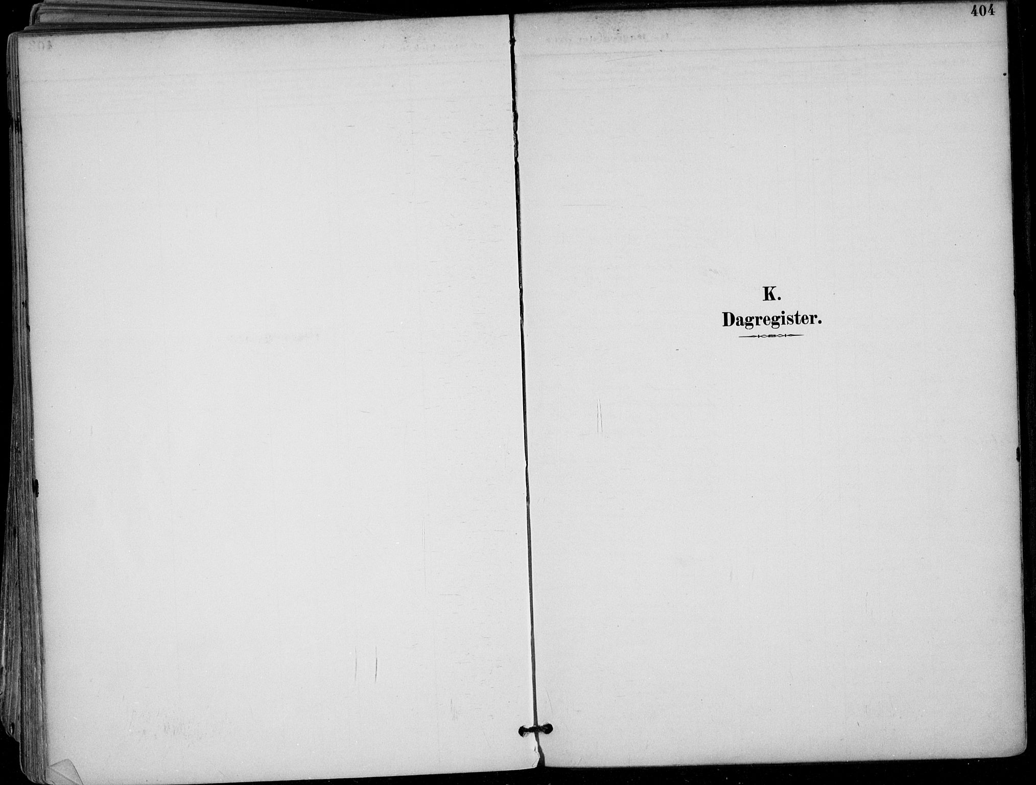 Skien kirkebøker, AV/SAKO-A-302/F/Fa/L0010: Ministerialbok nr. 10, 1891-1899, s. 404