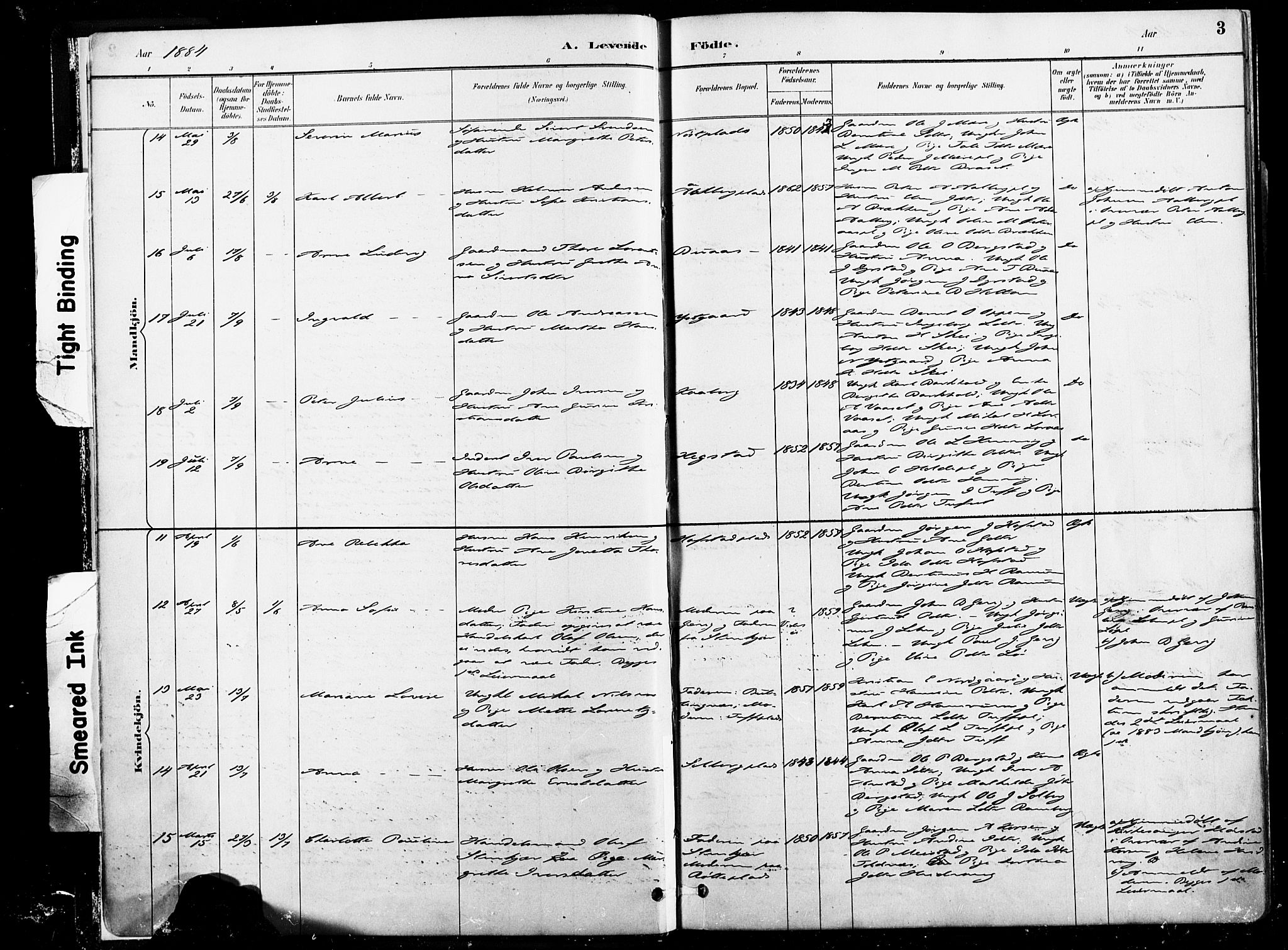 Ministerialprotokoller, klokkerbøker og fødselsregistre - Nord-Trøndelag, SAT/A-1458/735/L0351: Ministerialbok nr. 735A10, 1884-1908, s. 3