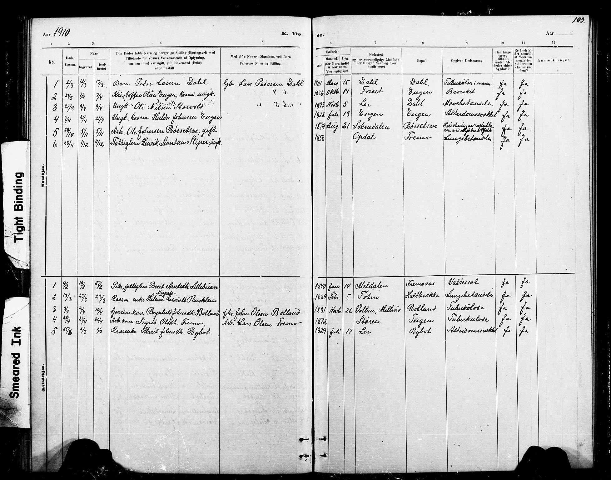 Ministerialprotokoller, klokkerbøker og fødselsregistre - Sør-Trøndelag, SAT/A-1456/693/L1123: Klokkerbok nr. 693C04, 1887-1910, s. 103