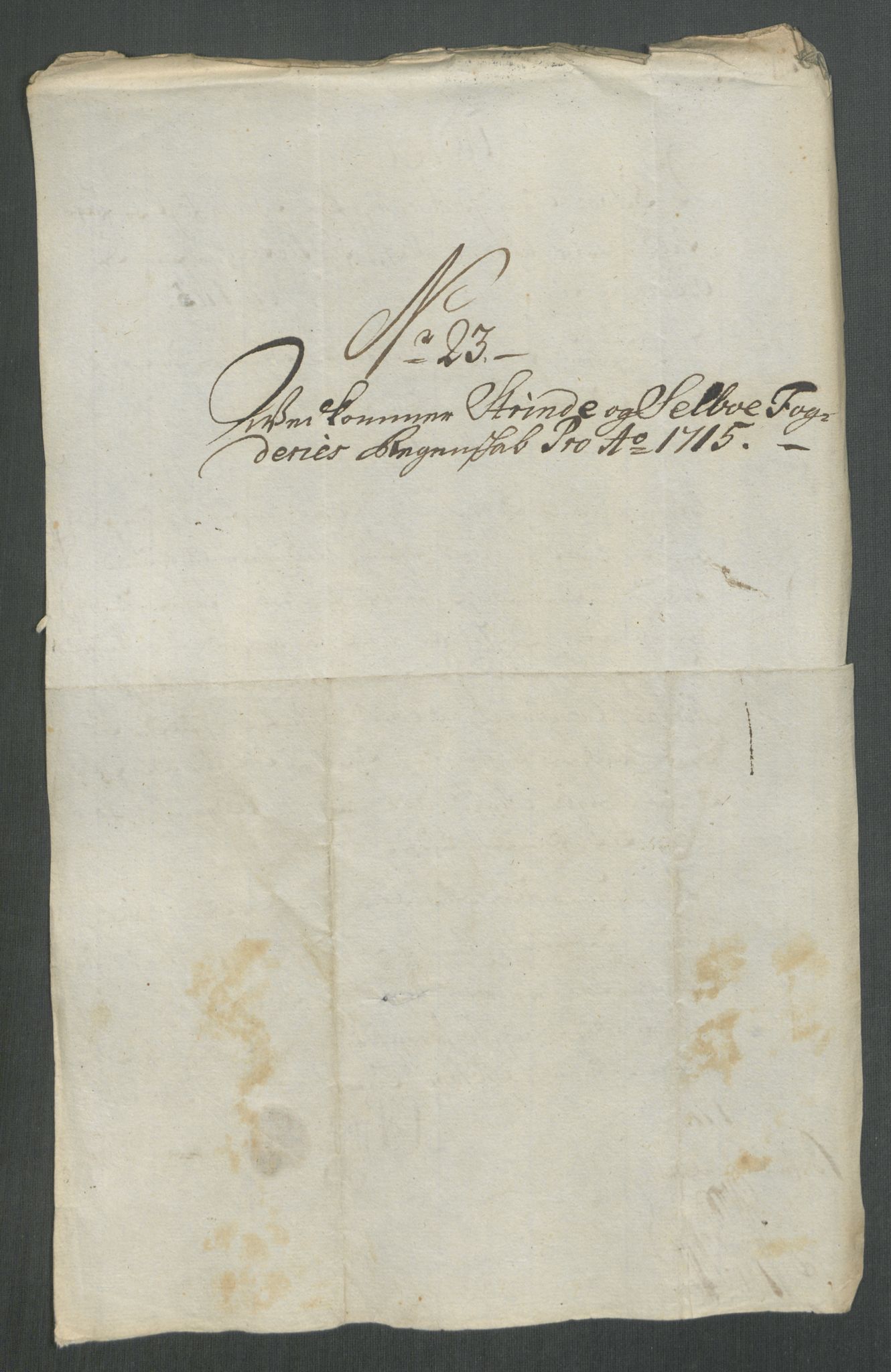 Rentekammeret inntil 1814, Reviderte regnskaper, Fogderegnskap, RA/EA-4092/R61/L4115: Fogderegnskap Strinda og Selbu, 1715-1716, s. 176