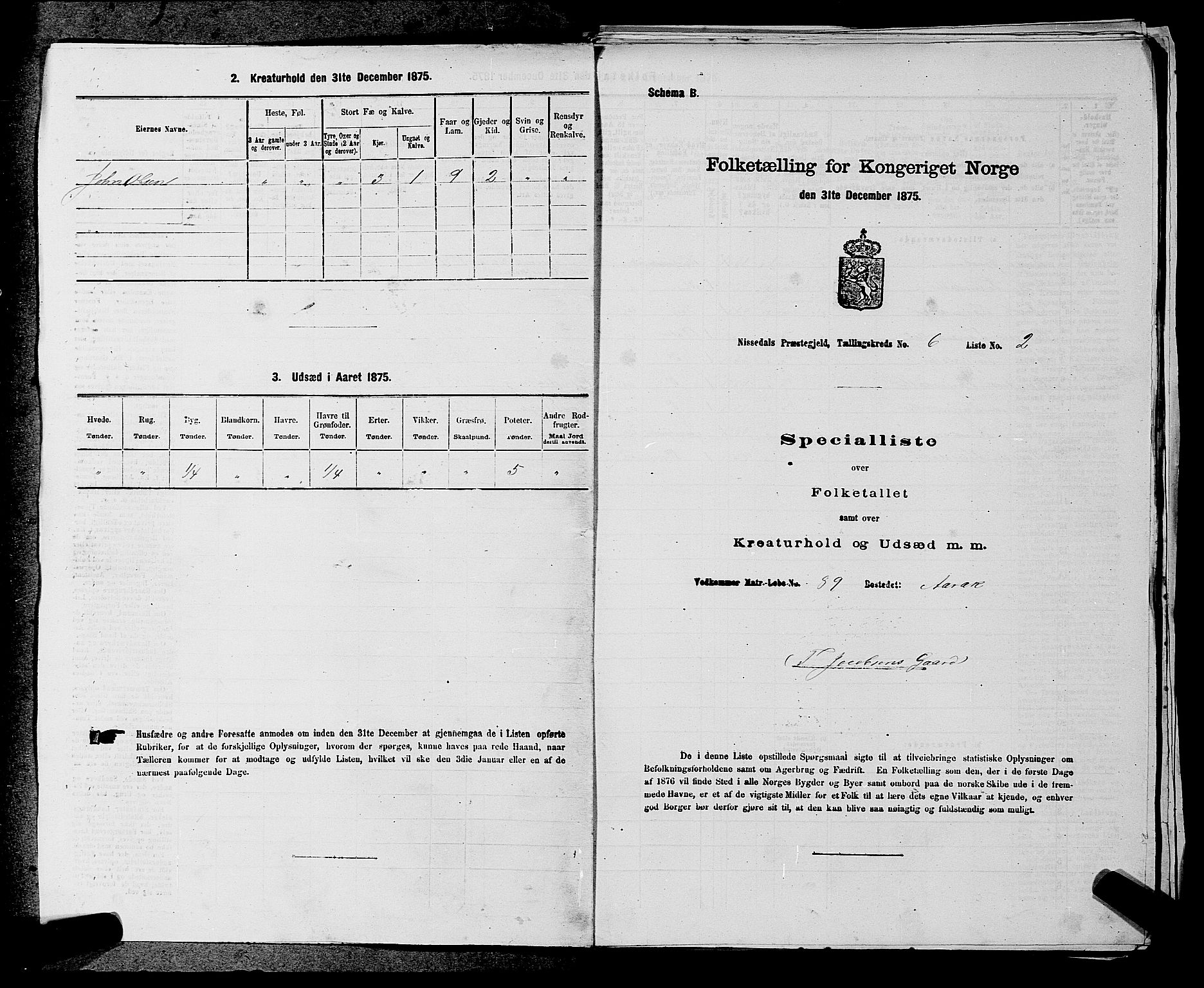 SAKO, Folketelling 1875 for 0830P Nissedal prestegjeld, 1875, s. 489