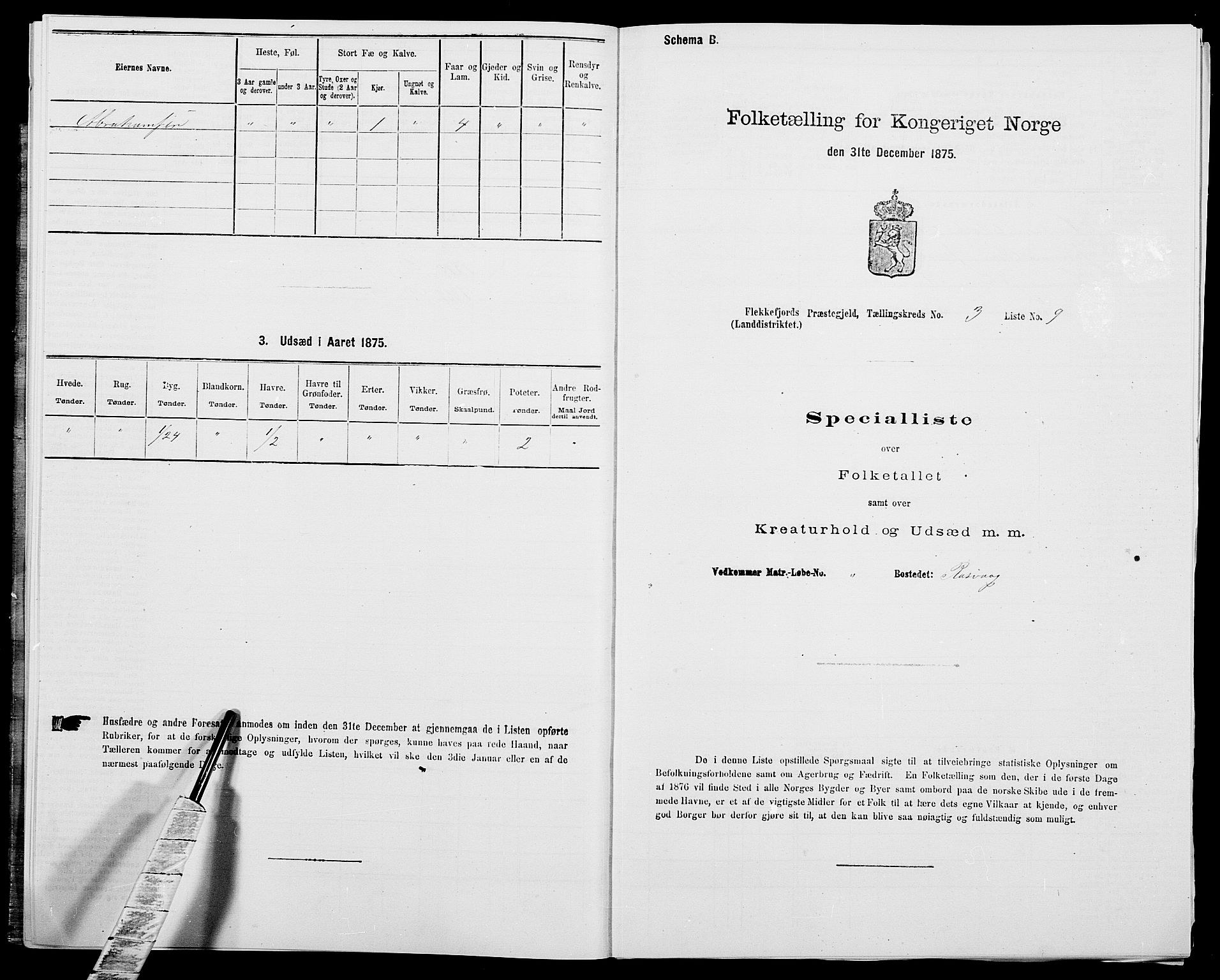 SAK, Folketelling 1875 for 1042L Flekkefjord prestegjeld, Nes sokn og Hidra sokn, 1875, s. 411