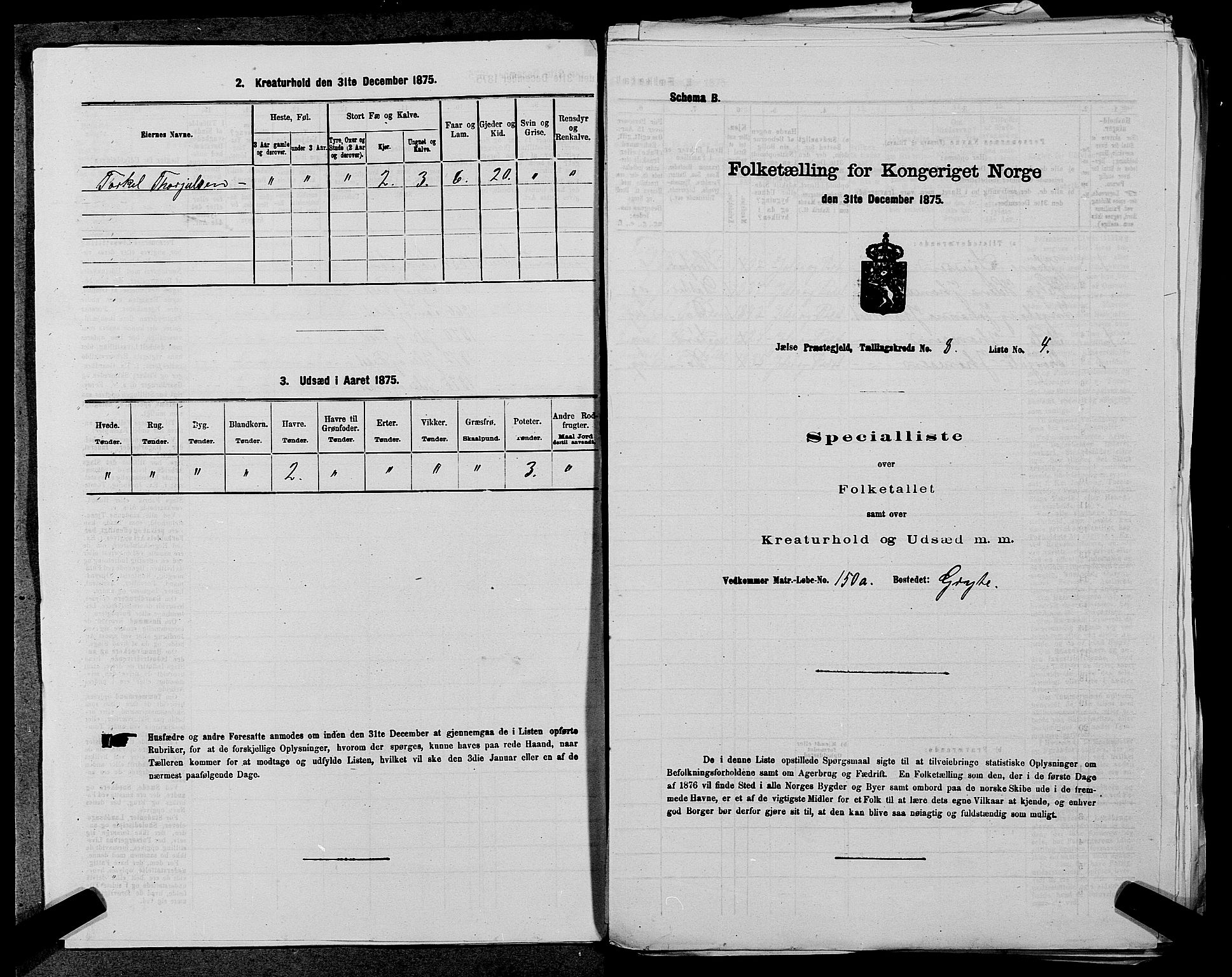 SAST, Folketelling 1875 for 1138P Jelsa prestegjeld, 1875, s. 675