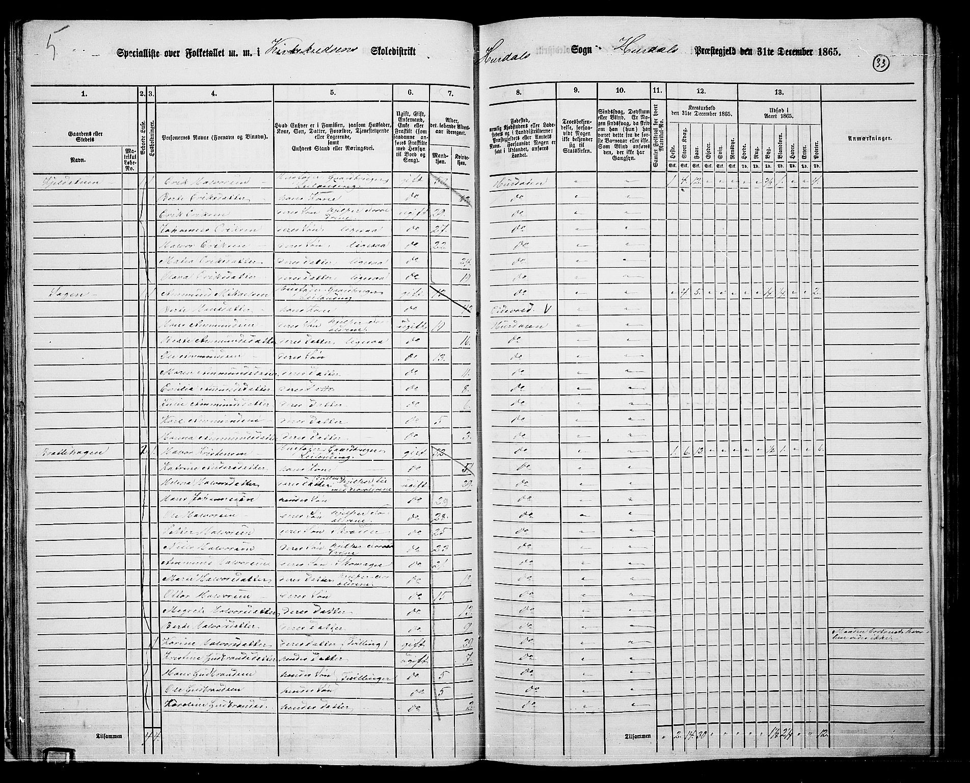 RA, Folketelling 1865 for 0239P Hurdal prestegjeld, 1865, s. 30