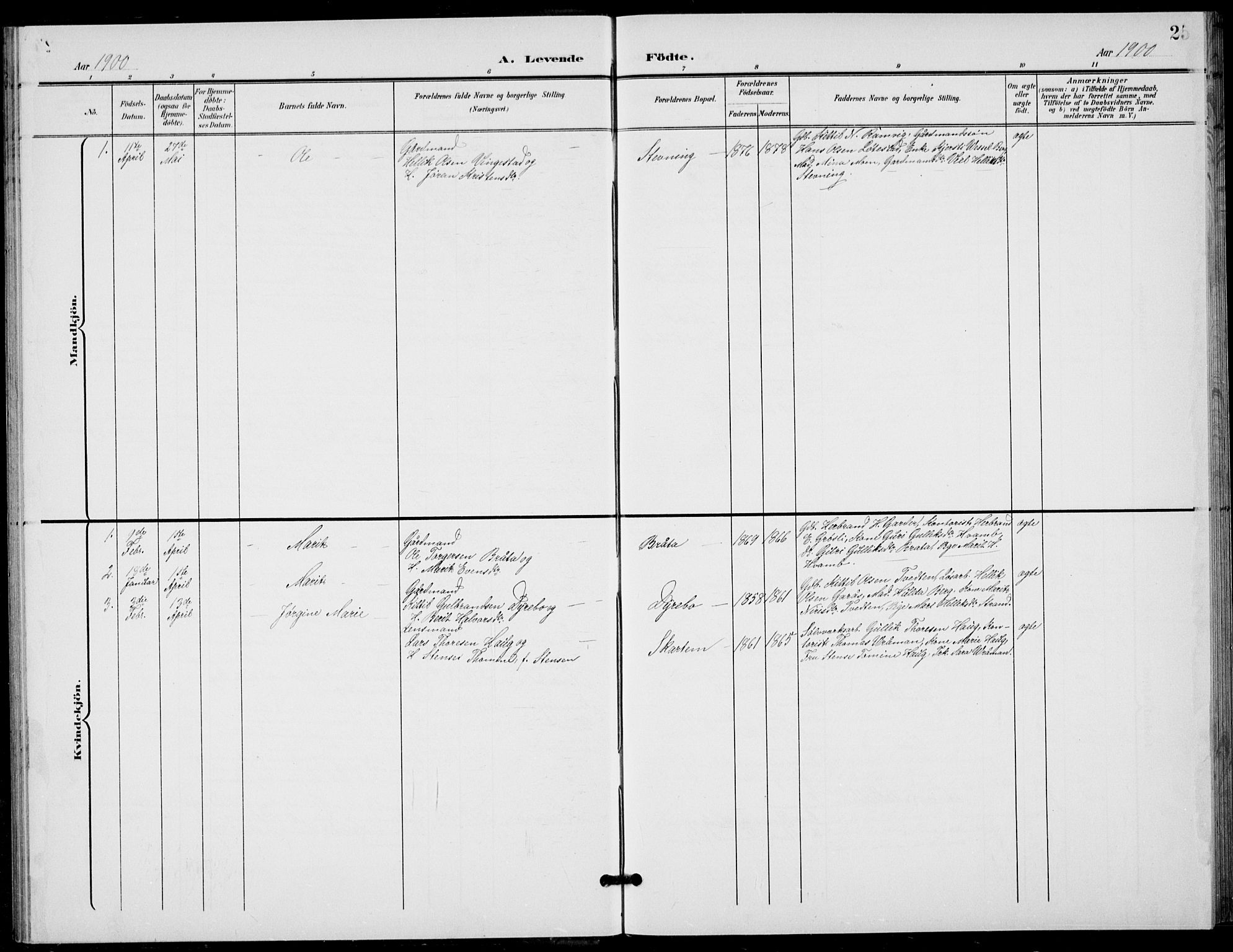 Flesberg kirkebøker, AV/SAKO-A-18/G/Ga/L0005: Klokkerbok nr. I 5, 1899-1908, s. 25