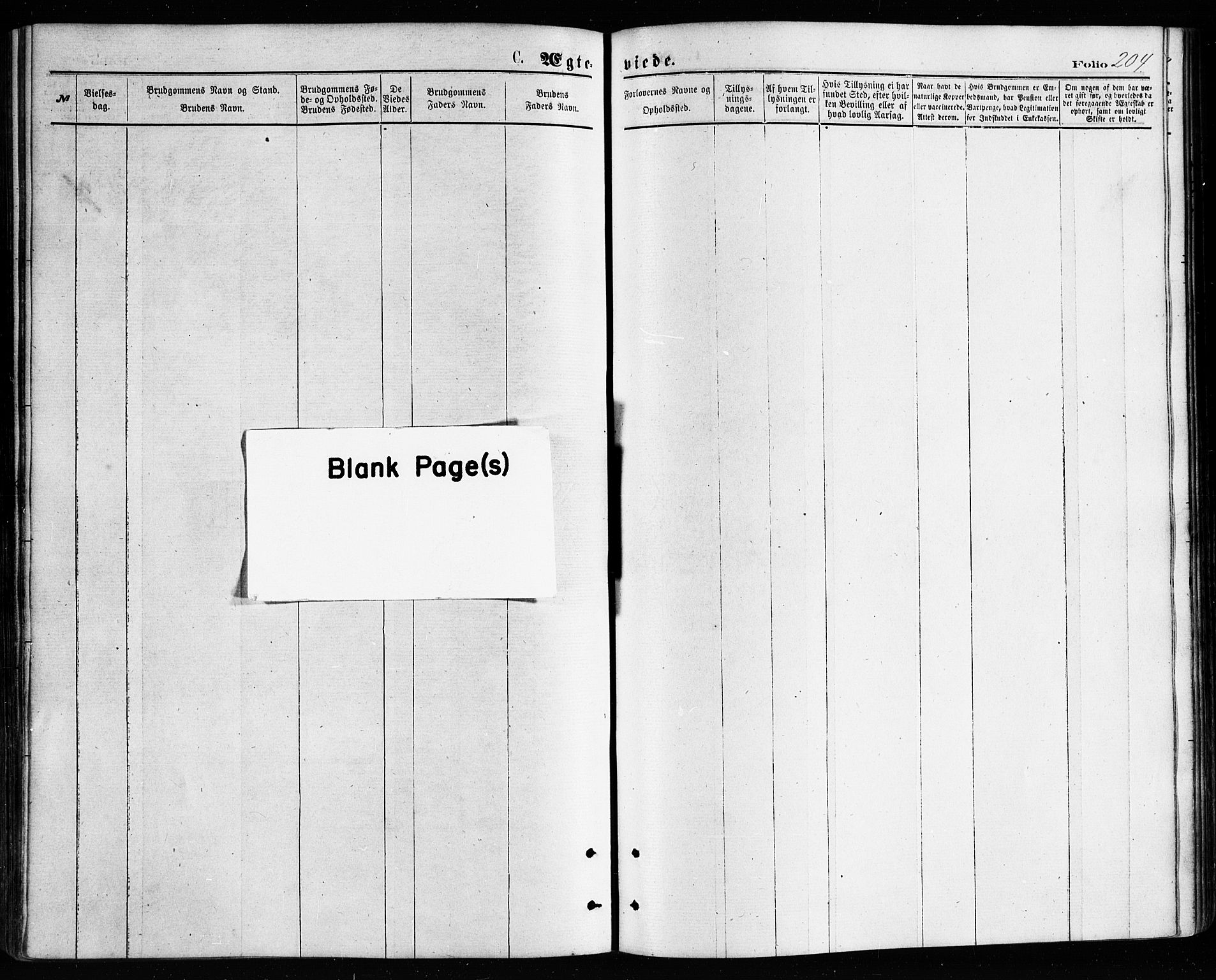 Ministerialprotokoller, klokkerbøker og fødselsregistre - Nordland, AV/SAT-A-1459/814/L0225: Ministerialbok nr. 814A06, 1875-1885, s. 204